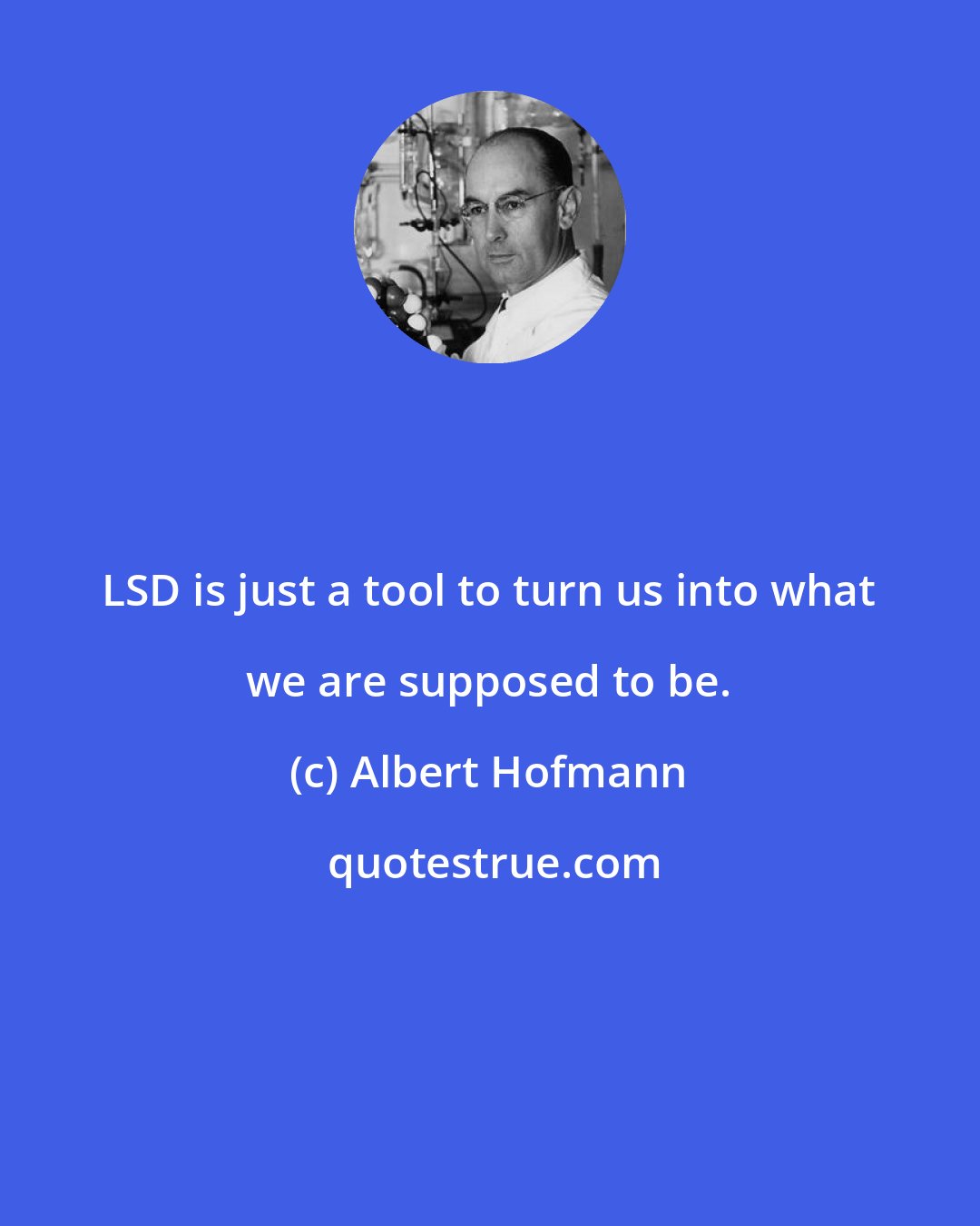 Albert Hofmann: LSD is just a tool to turn us into what we are supposed to be.