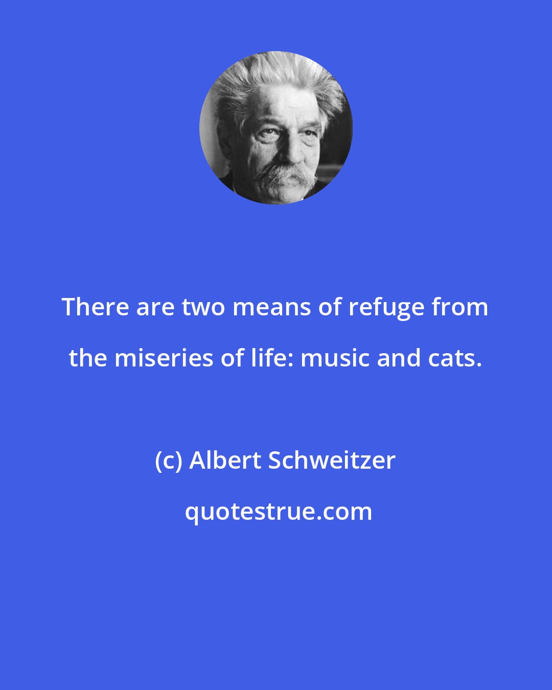 Albert Schweitzer: There are two means of refuge from the miseries of life: music and cats.