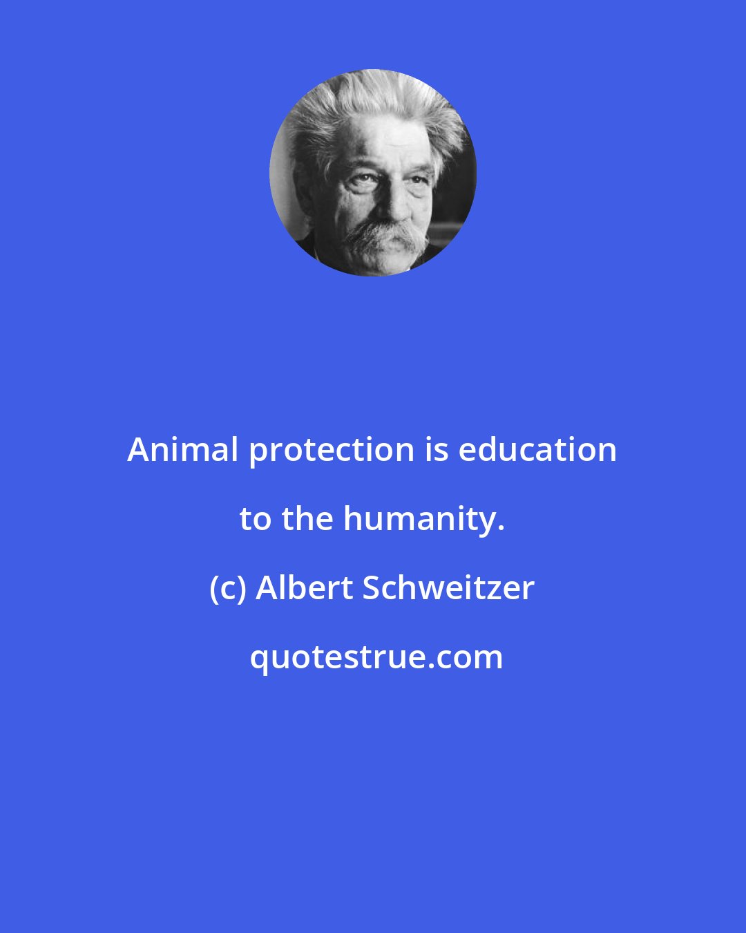 Albert Schweitzer: Animal protection is education to the humanity.