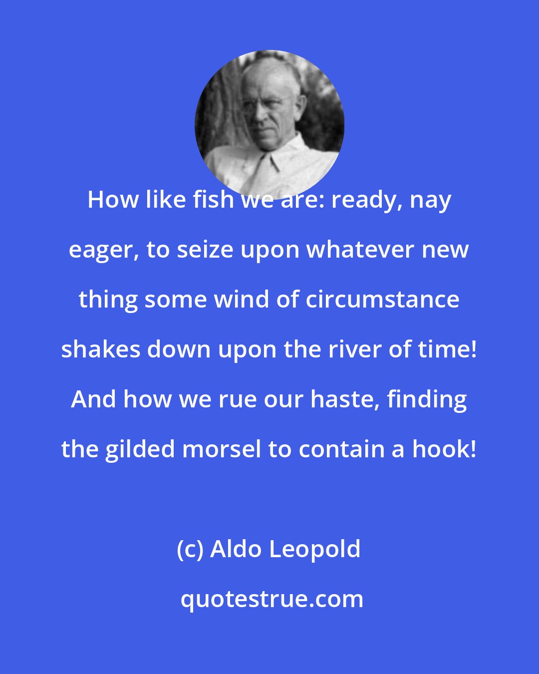 Aldo Leopold: How like fish we are: ready, nay eager, to seize upon whatever new thing some wind of circumstance shakes down upon the river of time! And how we rue our haste, finding the gilded morsel to contain a hook!