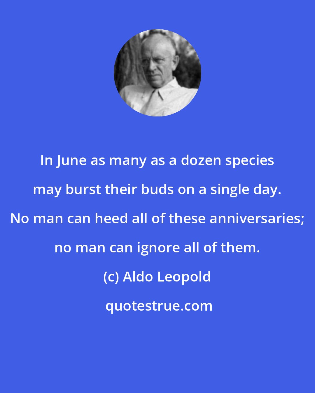 Aldo Leopold: In June as many as a dozen species may burst their buds on a single day. No man can heed all of these anniversaries; no man can ignore all of them.
