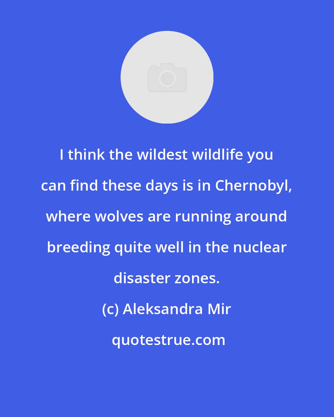 Aleksandra Mir: I think the wildest wildlife you can find these days is in Chernobyl, where wolves are running around breeding quite well in the nuclear disaster zones.
