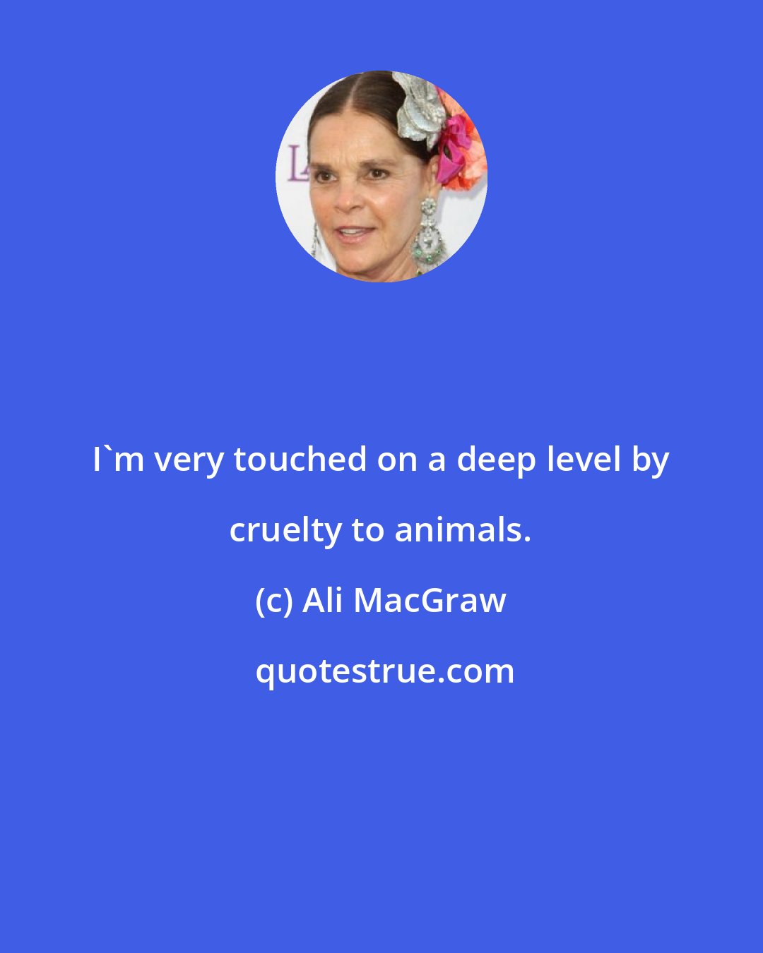 Ali MacGraw: I'm very touched on a deep level by cruelty to animals.