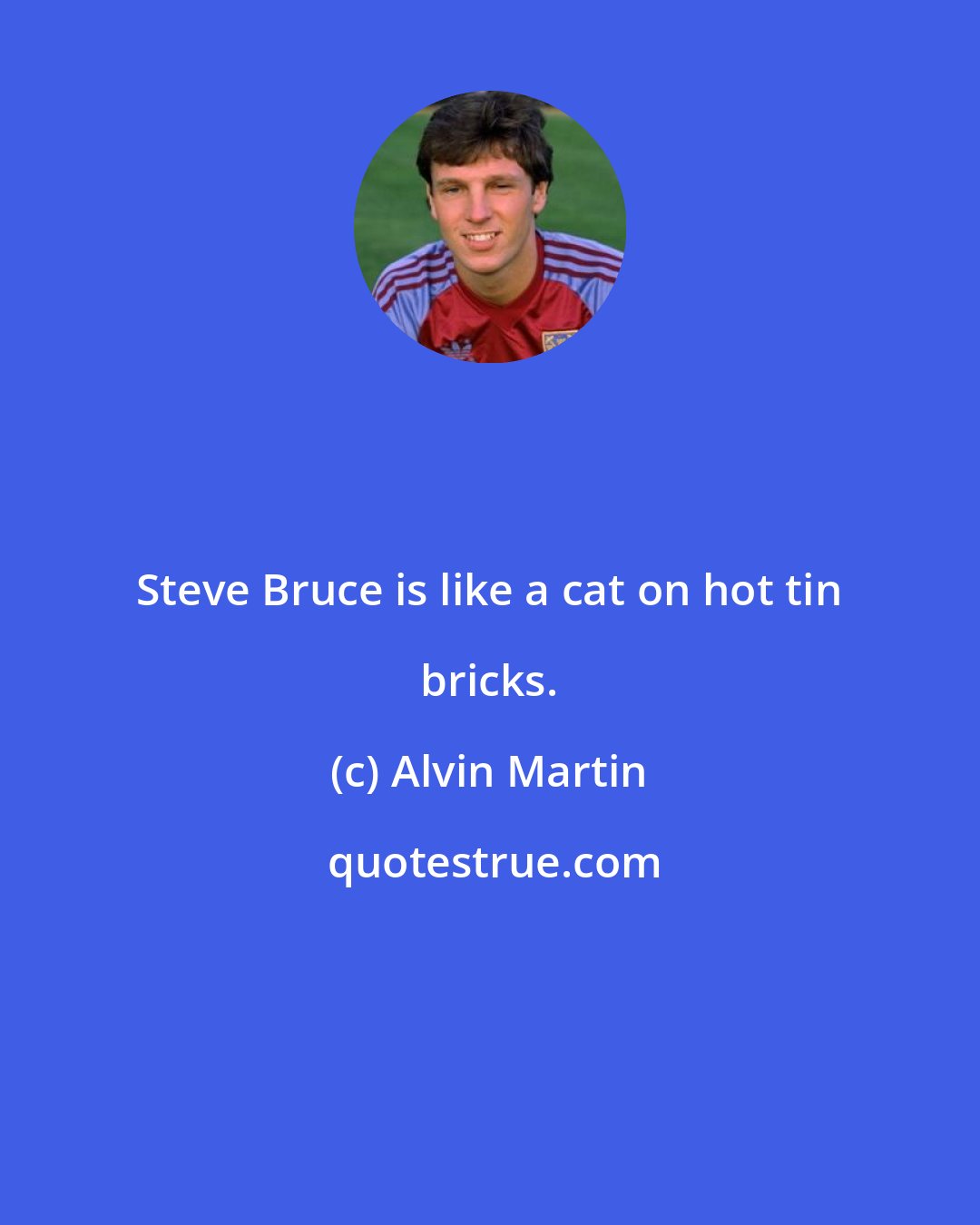 Alvin Martin: Steve Bruce is like a cat on hot tin bricks.