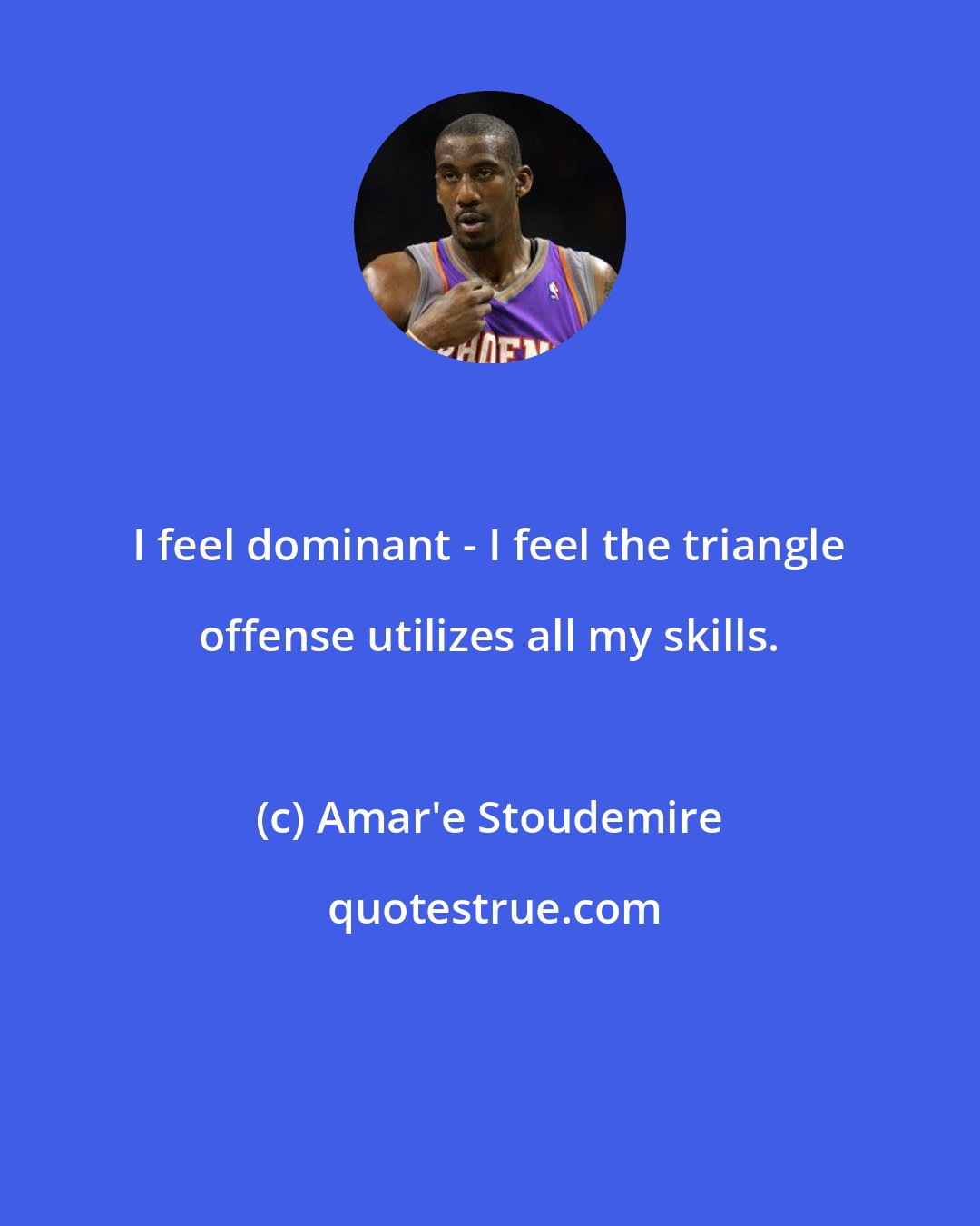Amar'e Stoudemire: I feel dominant - I feel the triangle offense utilizes all my skills.