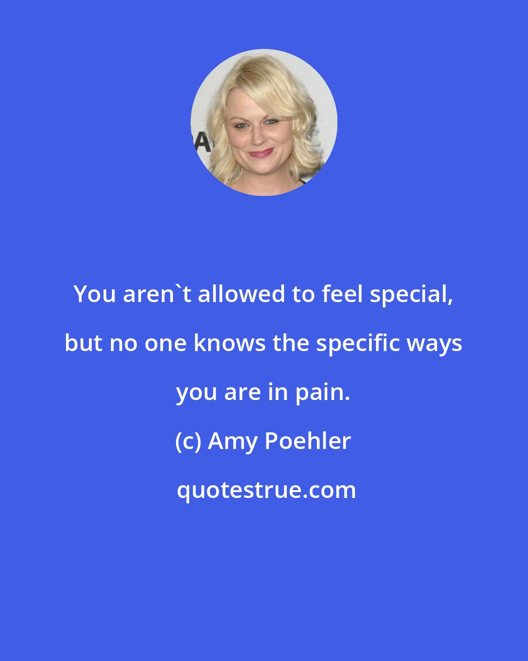 Amy Poehler: You aren't allowed to feel special, but no one knows the specific ways you are in pain.