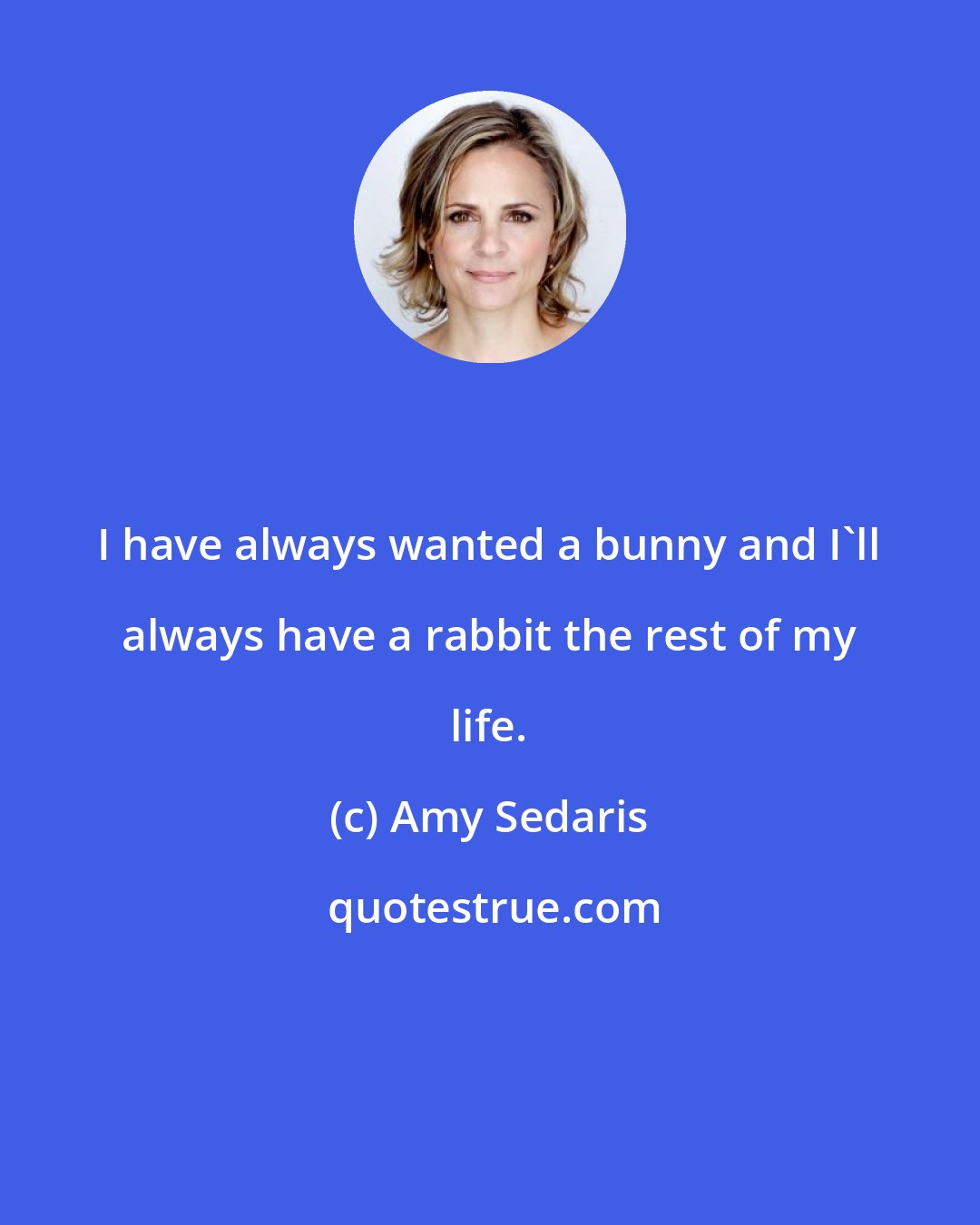 Amy Sedaris: I have always wanted a bunny and I'll always have a rabbit the rest of my life.