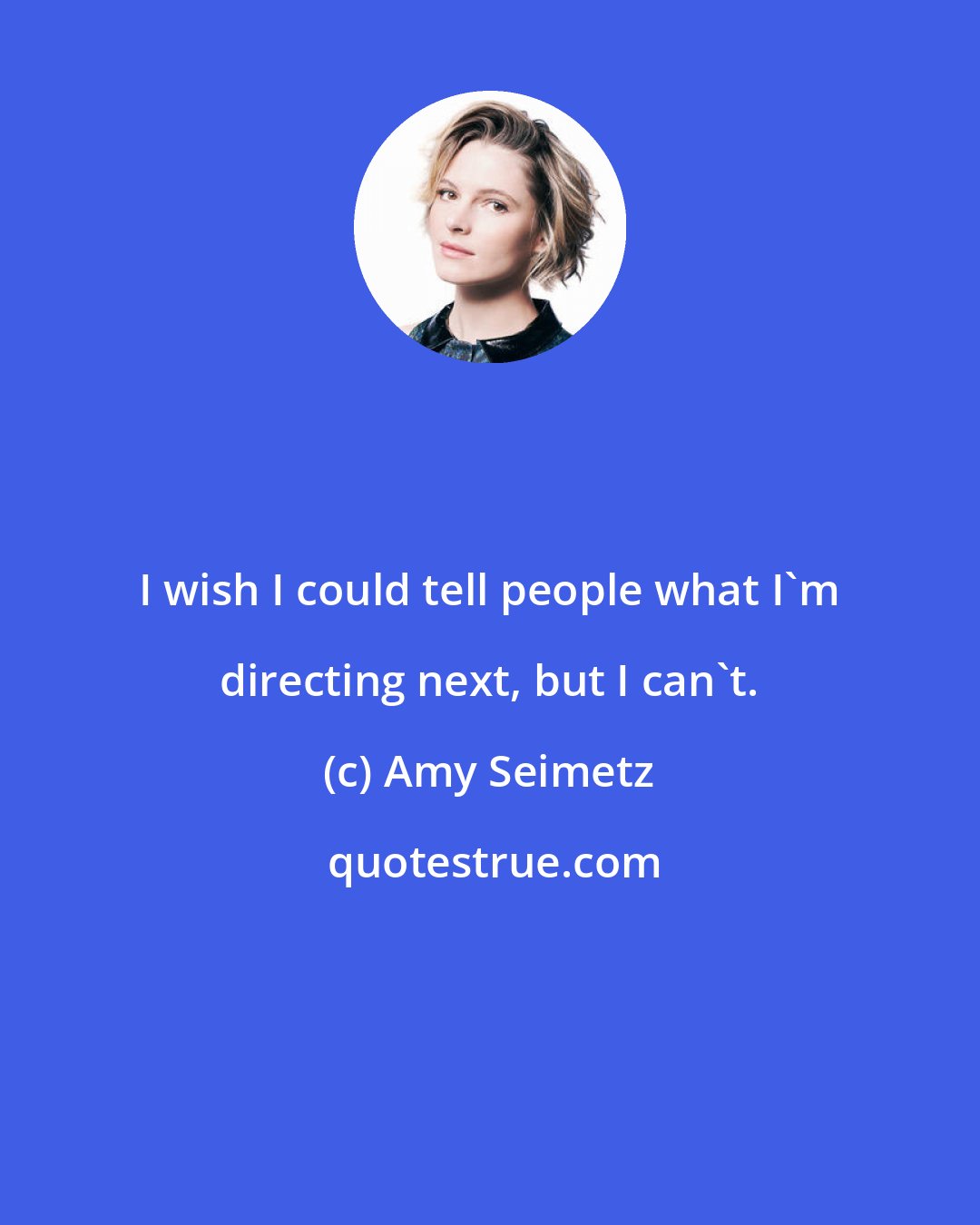 Amy Seimetz: I wish I could tell people what I'm directing next, but I can't.