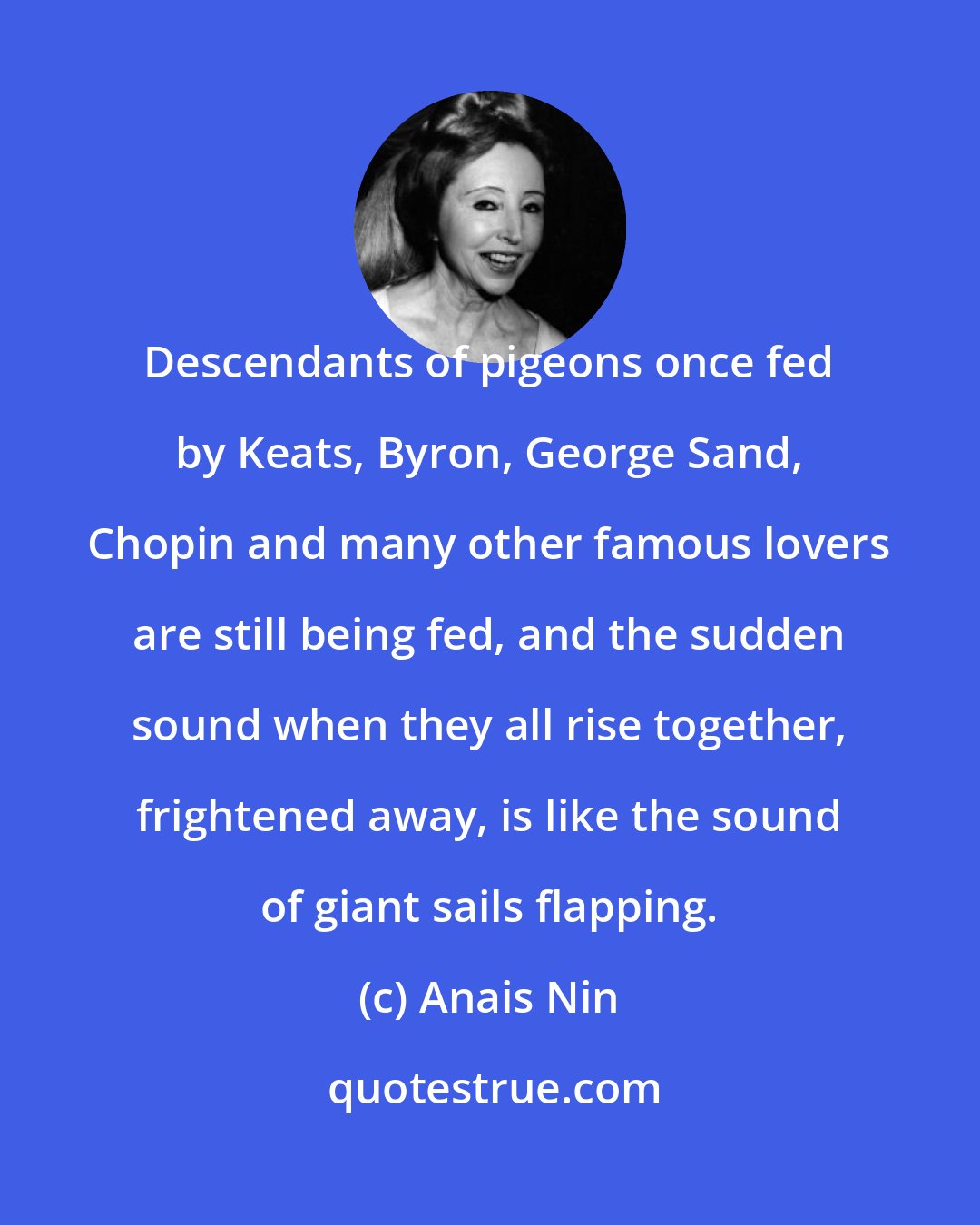 Anais Nin: Descendants of pigeons once fed by Keats, Byron, George Sand, Chopin and many other famous lovers are still being fed, and the sudden sound when they all rise together, frightened away, is like the sound of giant sails flapping.