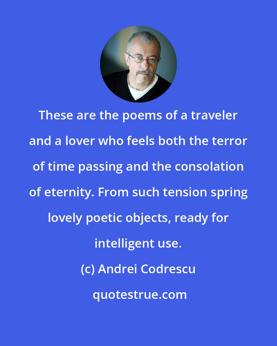 Andrei Codrescu: These are the poems of a traveler and a lover who feels both the terror of time passing and the consolation of eternity. From such tension spring lovely poetic objects, ready for intelligent use.