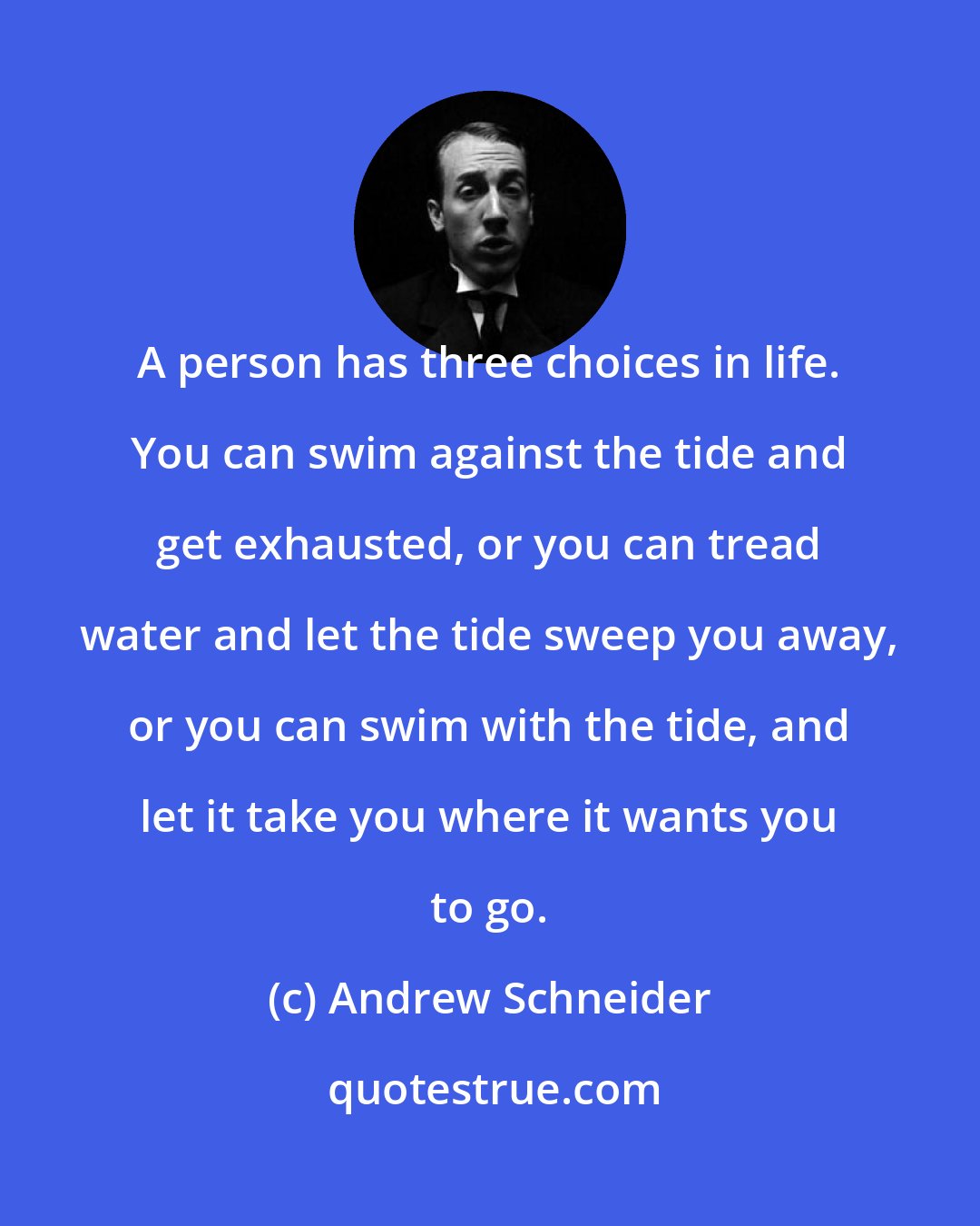 Andrew Schneider: A person has three choices in life. You can swim against the tide and get exhausted, or you can tread water and let the tide sweep you away, or you can swim with the tide, and let it take you where it wants you to go.