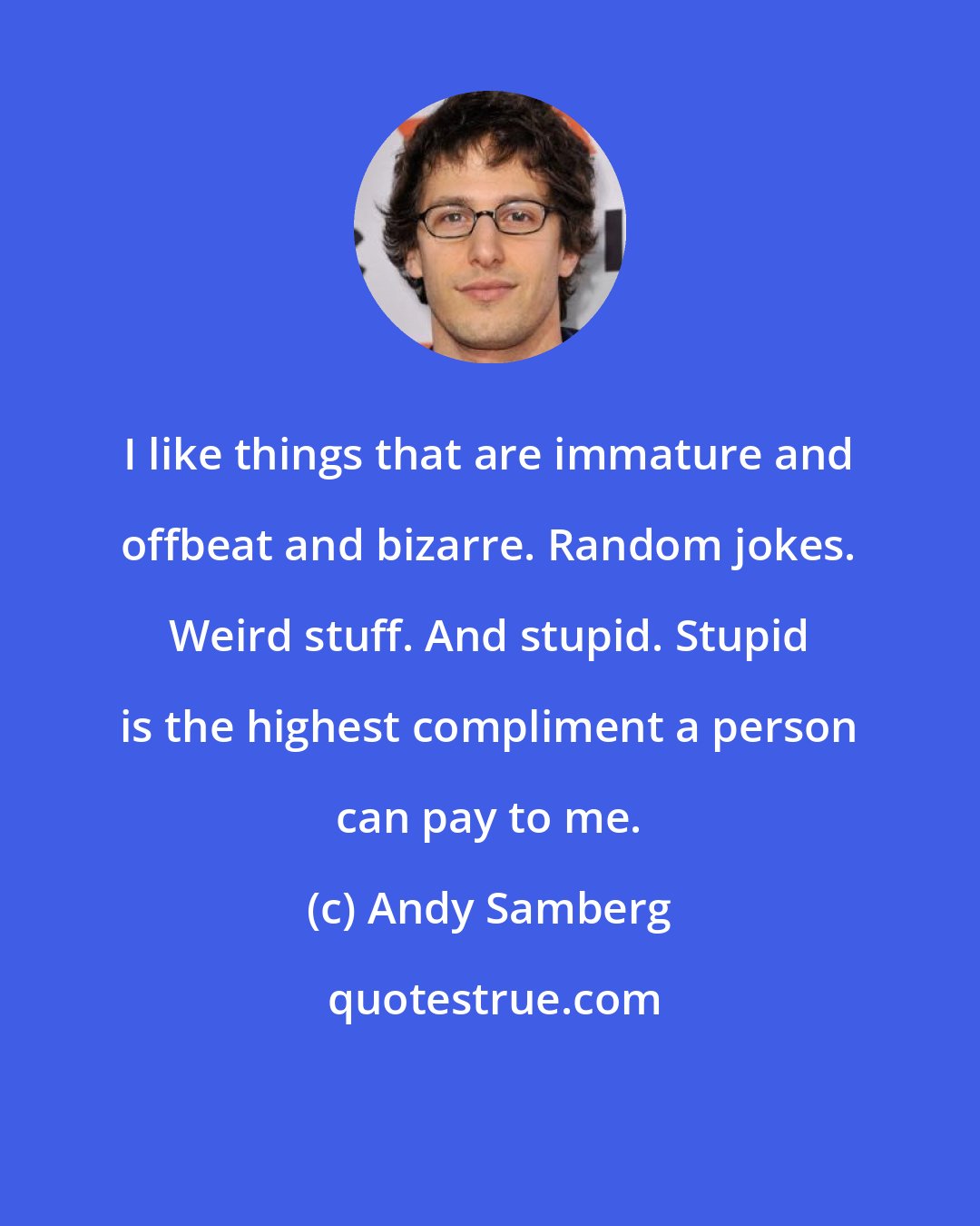 Andy Samberg: I like things that are immature and offbeat and bizarre. Random jokes. Weird stuff. And stupid. Stupid is the highest compliment a person can pay to me.