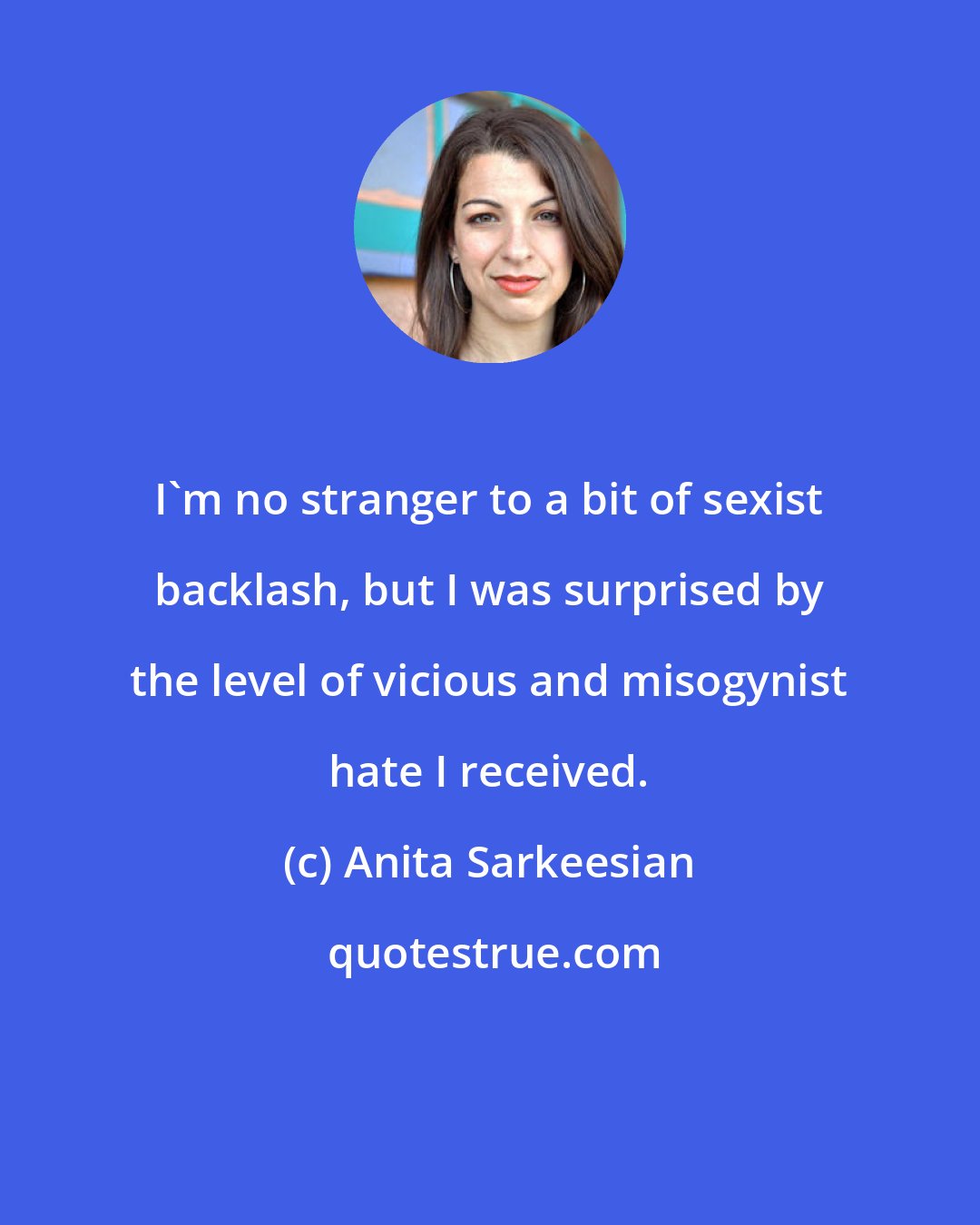 Anita Sarkeesian: I'm no stranger to a bit of sexist backlash, but I was surprised by the level of vicious and misogynist hate I received.