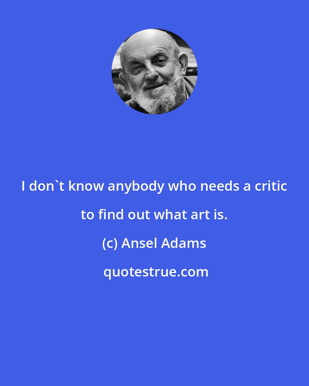 Ansel Adams: I don't know anybody who needs a critic to find out what art is.