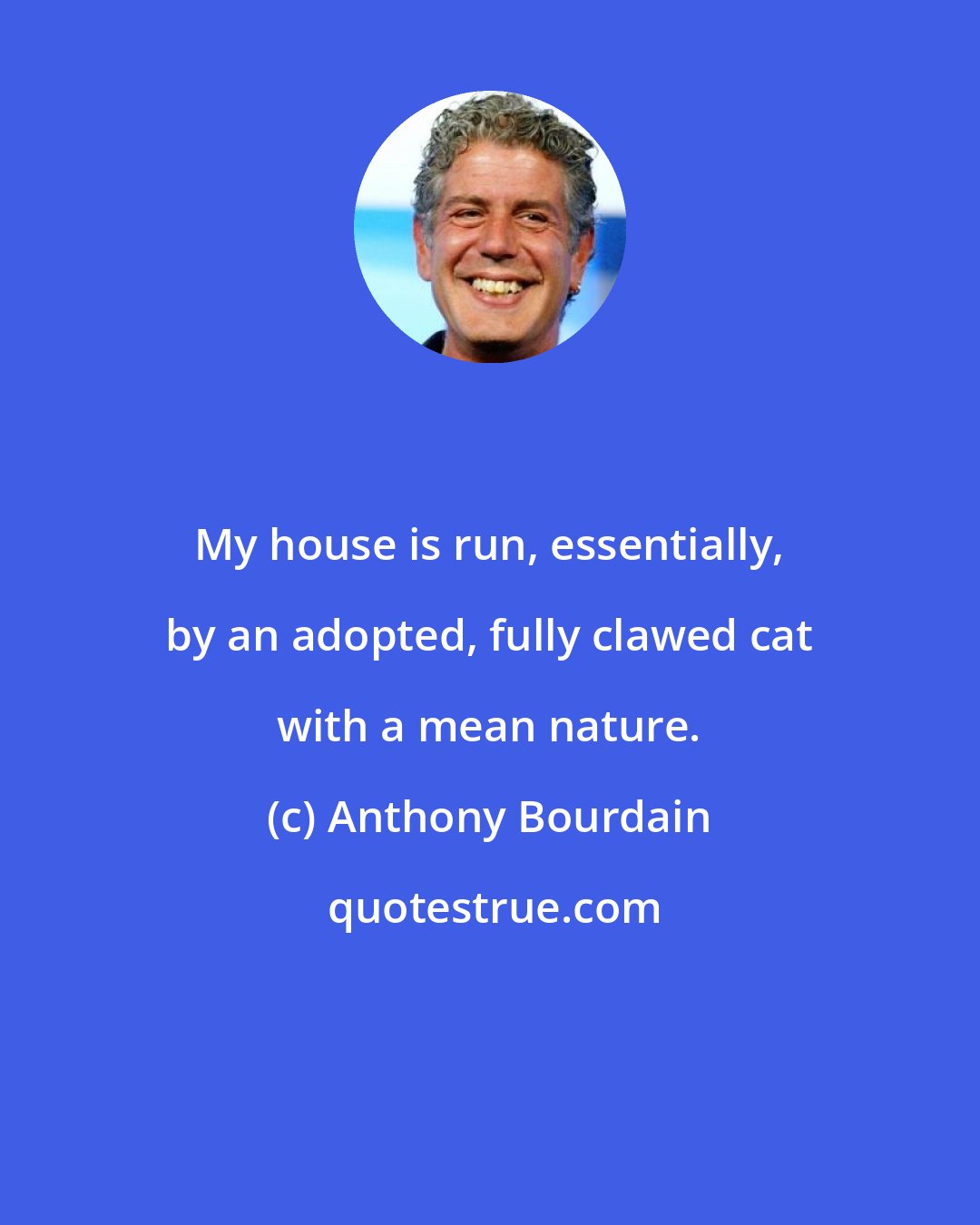 Anthony Bourdain: My house is run, essentially, by an adopted, fully clawed cat with a mean nature.