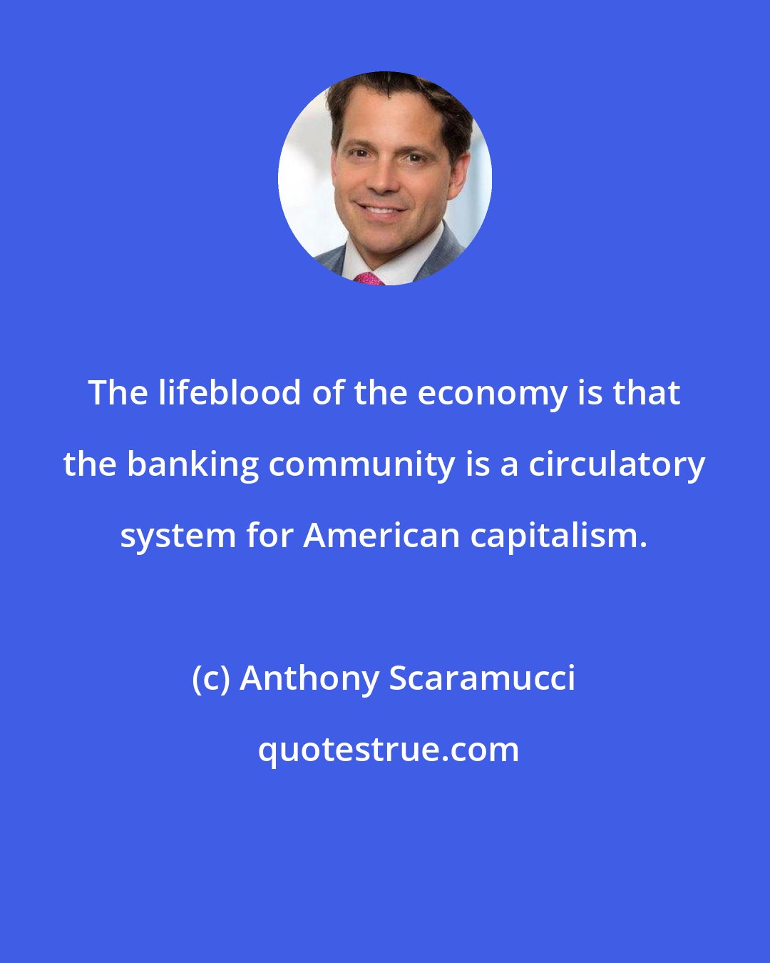 Anthony Scaramucci: The lifeblood of the economy is that the banking community is a circulatory system for American capitalism.