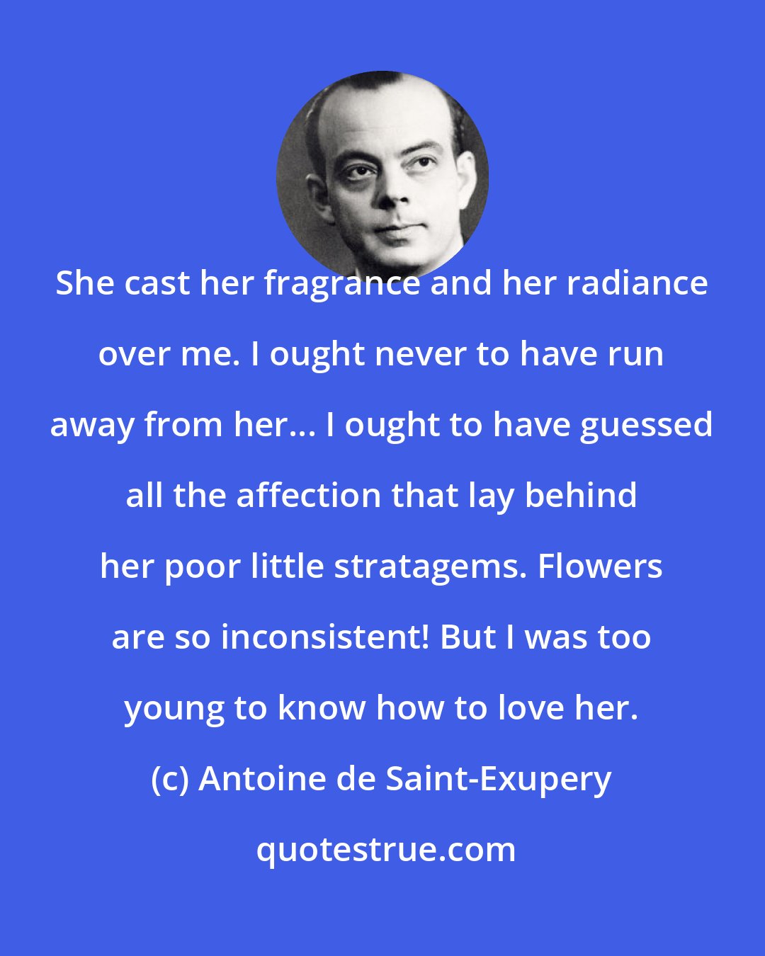 Antoine de Saint-Exupery: She cast her fragrance and her radiance over me. I ought never to have run away from her... I ought to have guessed all the affection that lay behind her poor little stratagems. Flowers are so inconsistent! But I was too young to know how to love her.