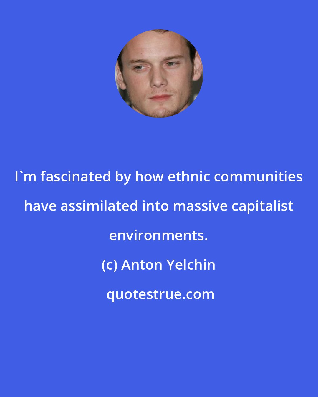 Anton Yelchin: I'm fascinated by how ethnic communities have assimilated into massive capitalist environments.