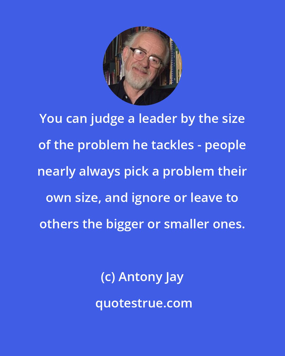 Antony Jay: You can judge a leader by the size of the problem he tackles - people nearly always pick a problem their own size, and ignore or leave to others the bigger or smaller ones.
