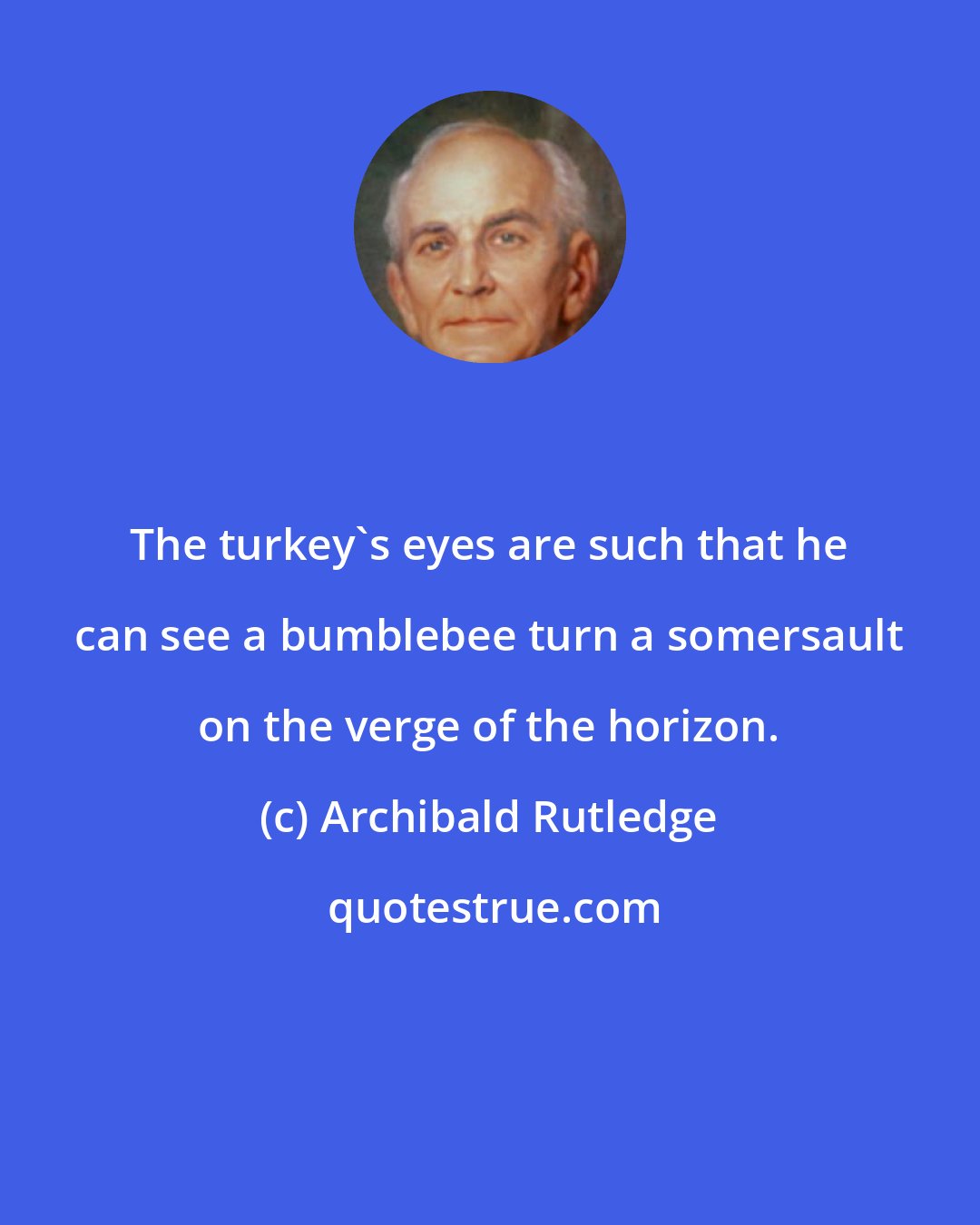 Archibald Rutledge: The turkey's eyes are such that he can see a bumblebee turn a somersault on the verge of the horizon.