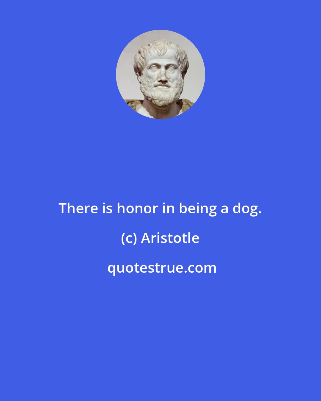 Aristotle: There is honor in being a dog.