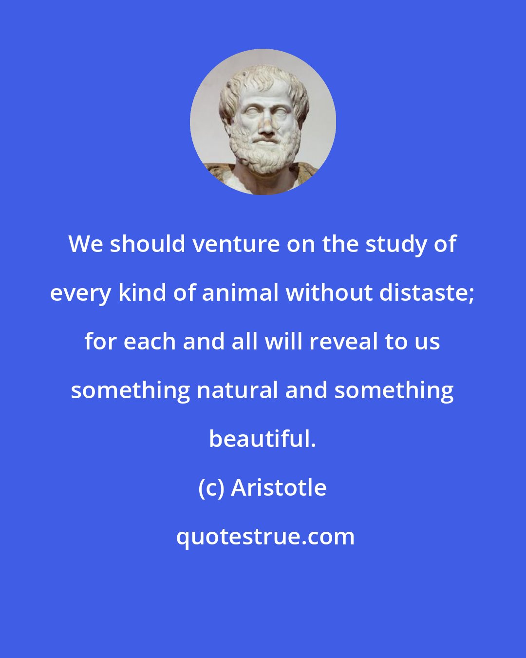 Aristotle: We should venture on the study of every kind of animal without distaste; for each and all will reveal to us something natural and something beautiful.