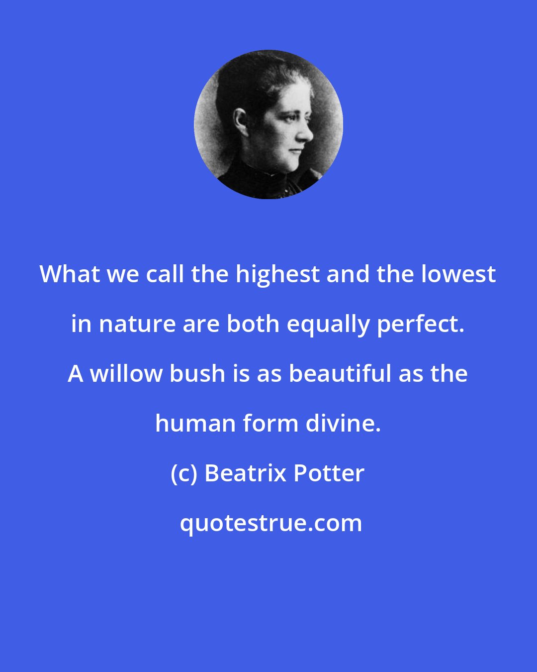 Beatrix Potter: What we call the highest and the lowest in nature are both equally perfect. A willow bush is as beautiful as the human form divine.