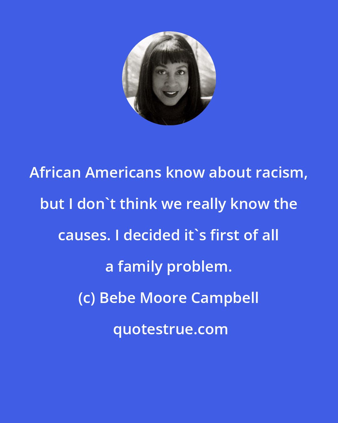 Bebe Moore Campbell: African Americans know about racism, but I don't think we really know the causes. I decided it's first of all a family problem.