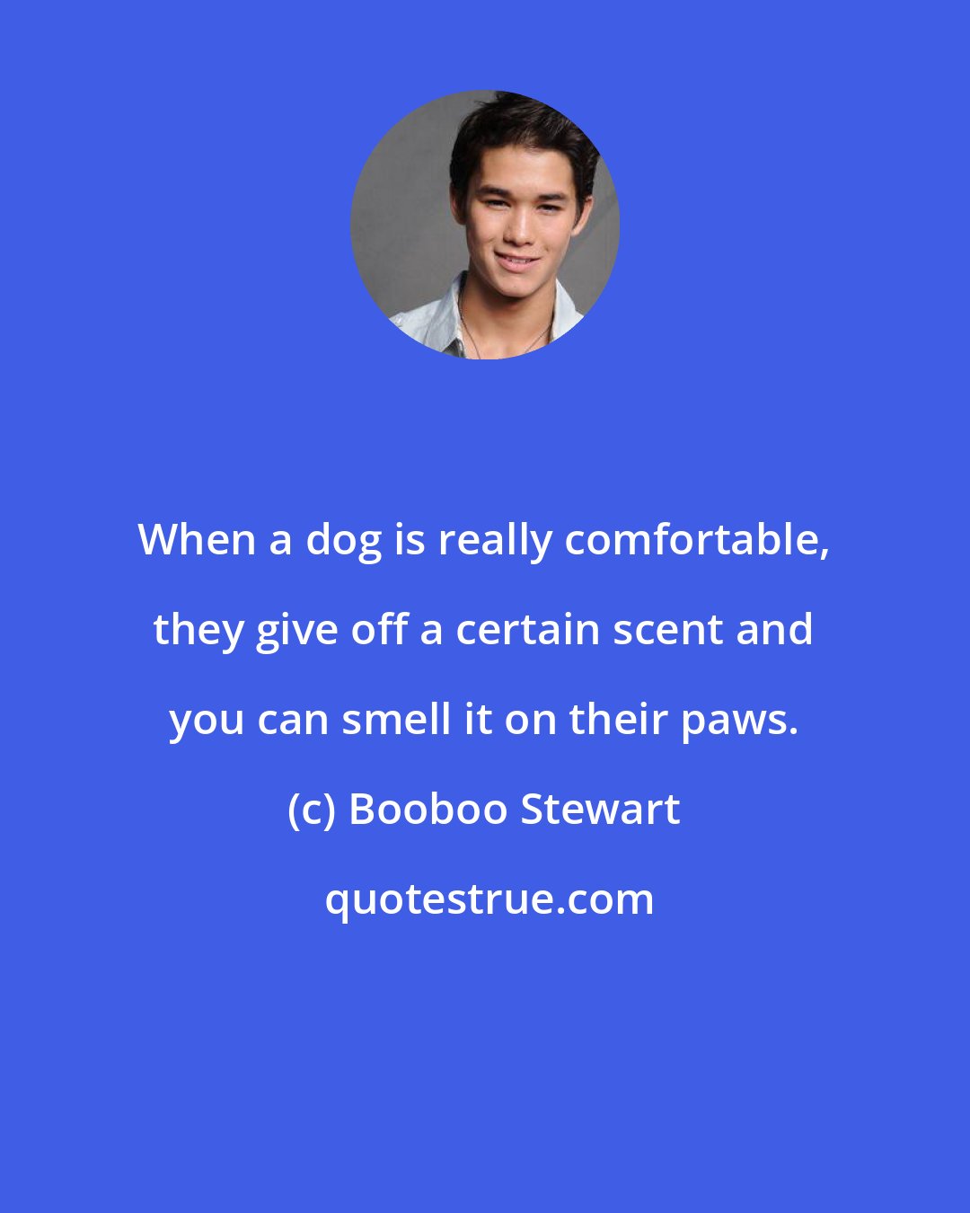 Booboo Stewart: When a dog is really comfortable, they give off a certain scent and you can smell it on their paws.