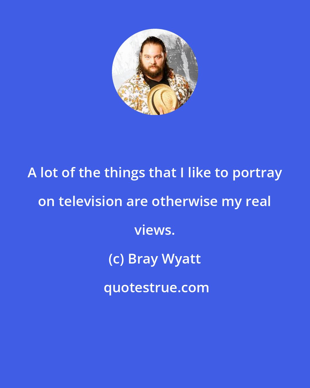 Bray Wyatt: A lot of the things that I like to portray on television are otherwise my real views.