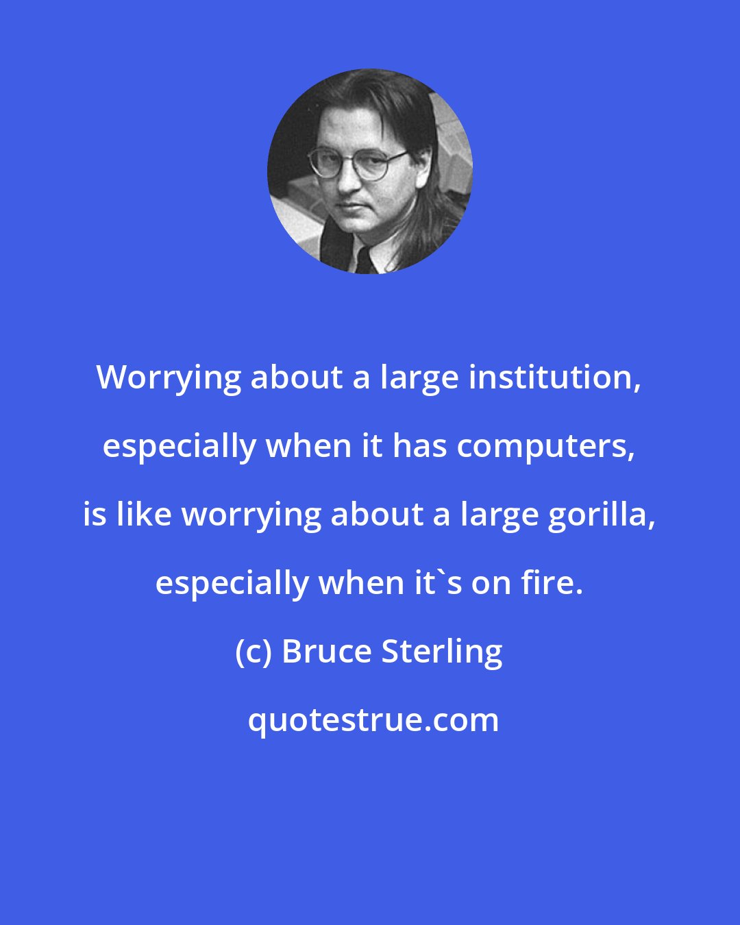 Bruce Sterling: Worrying about a large institution, especially when it has computers, is like worrying about a large gorilla, especially when it's on fire.
