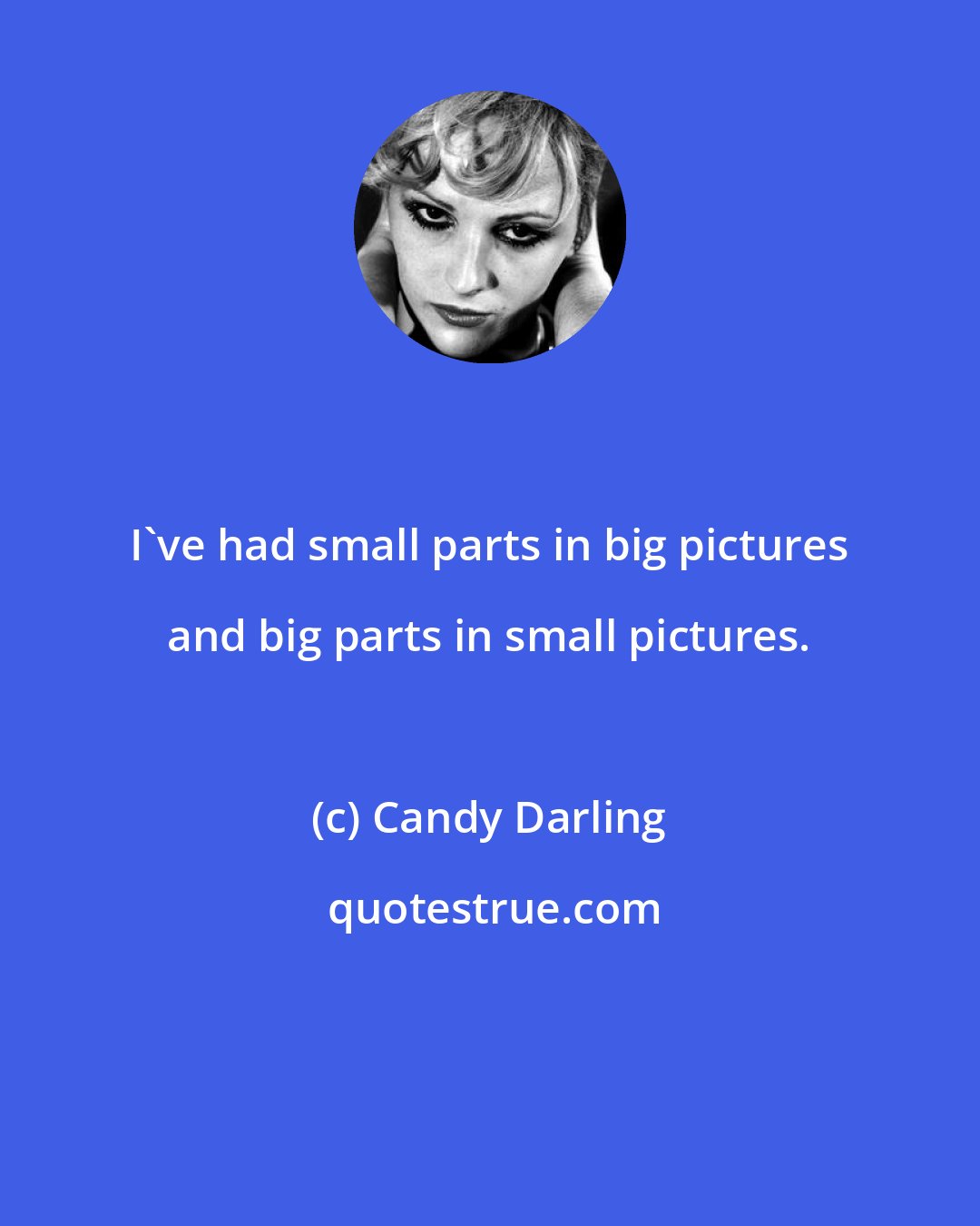 Candy Darling: I've had small parts in big pictures and big parts in small pictures.