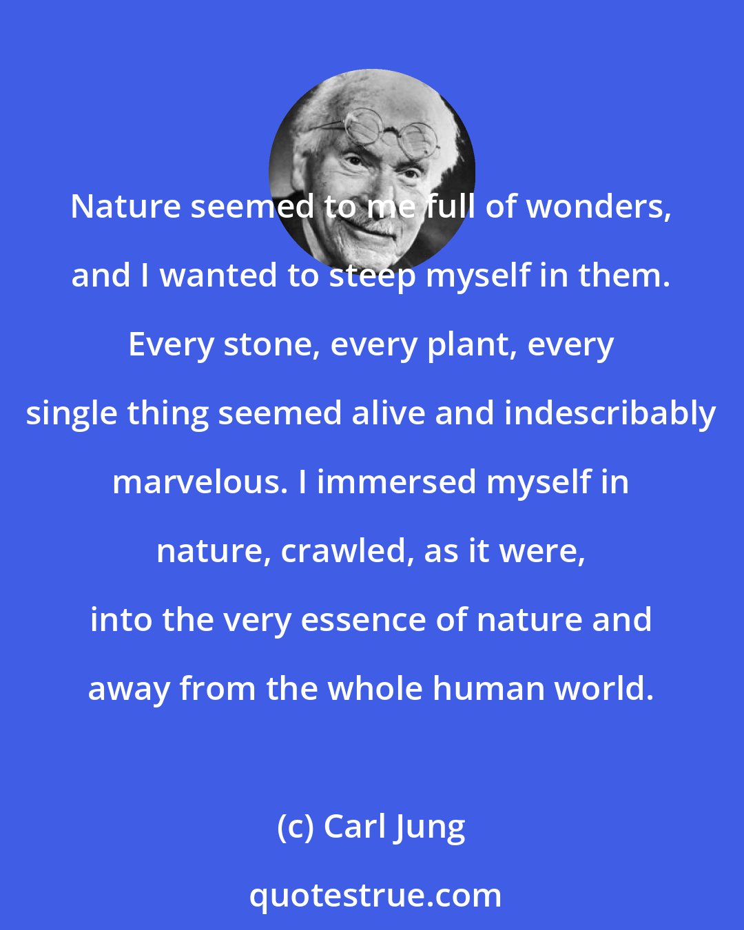 Carl Jung: Nature seemed to me full of wonders, and I wanted to steep myself in them. Every stone, every plant, every single thing seemed alive and indescribably marvelous. I immersed myself in nature, crawled, as it were, into the very essence of nature and away from the whole human world.