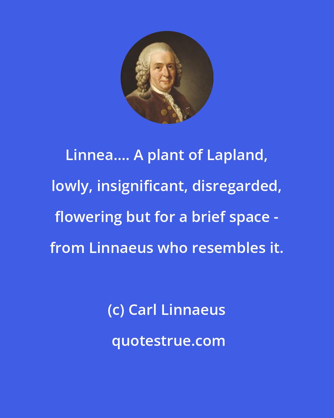 Carl Linnaeus: Linnea.... A plant of Lapland, lowly, insignificant, disregarded, flowering but for a brief space - from Linnaeus who resembles it.
