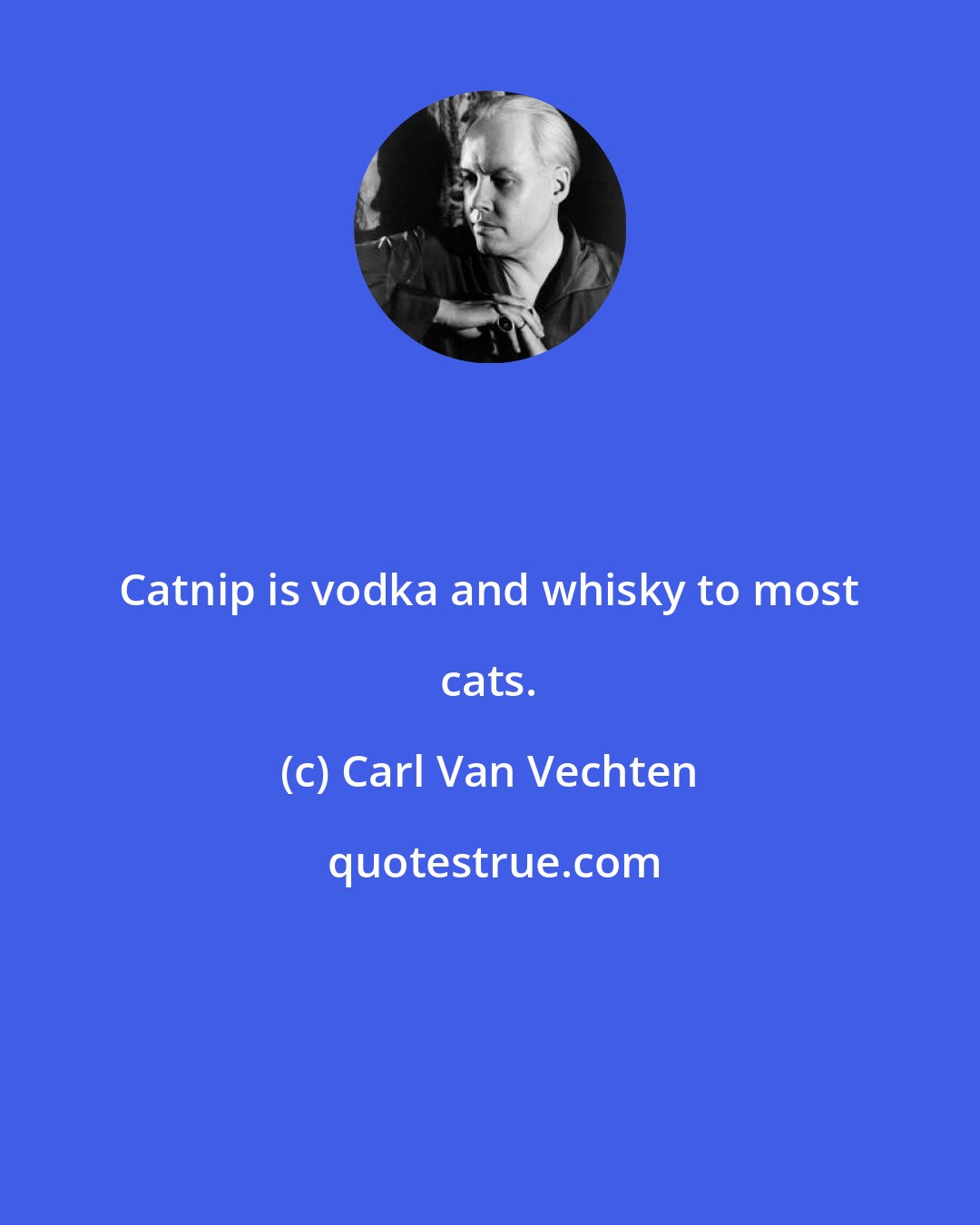 Carl Van Vechten: Catnip is vodka and whisky to most cats.