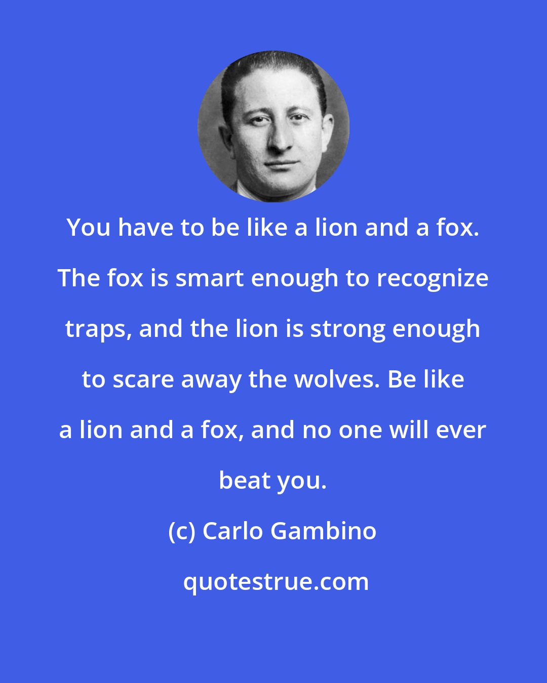 Carlo Gambino: You have to be like a lion and a fox. The fox is smart enough to recognize traps, and the lion is strong enough to scare away the wolves. Be like a lion and a fox, and no one will ever beat you.