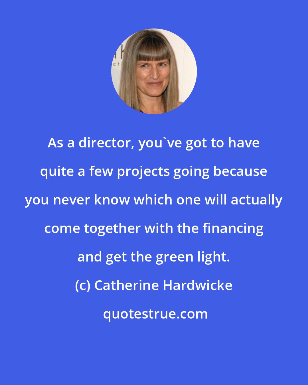 Catherine Hardwicke: As a director, you've got to have quite a few projects going because you never know which one will actually come together with the financing and get the green light.