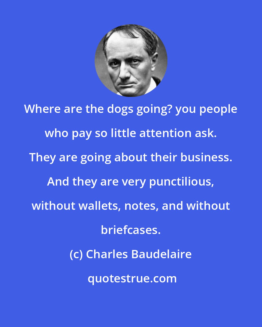 Charles Baudelaire: Where are the dogs going? you people who pay so little attention ask. They are going about their business. And they are very punctilious, without wallets, notes, and without briefcases.