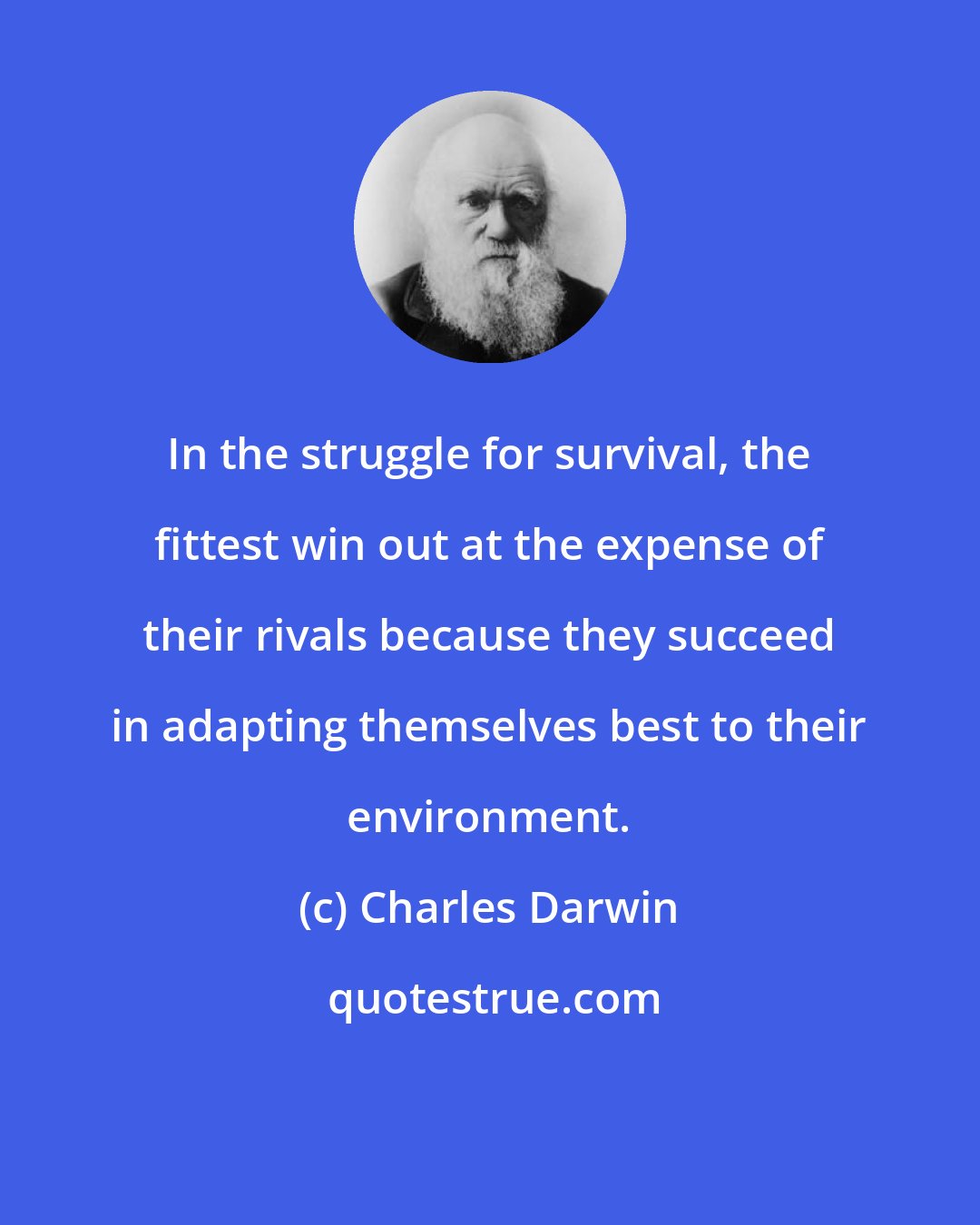 Charles Darwin: In the struggle for survival, the fittest win out at the expense of their rivals because they succeed in adapting themselves best to their environment.