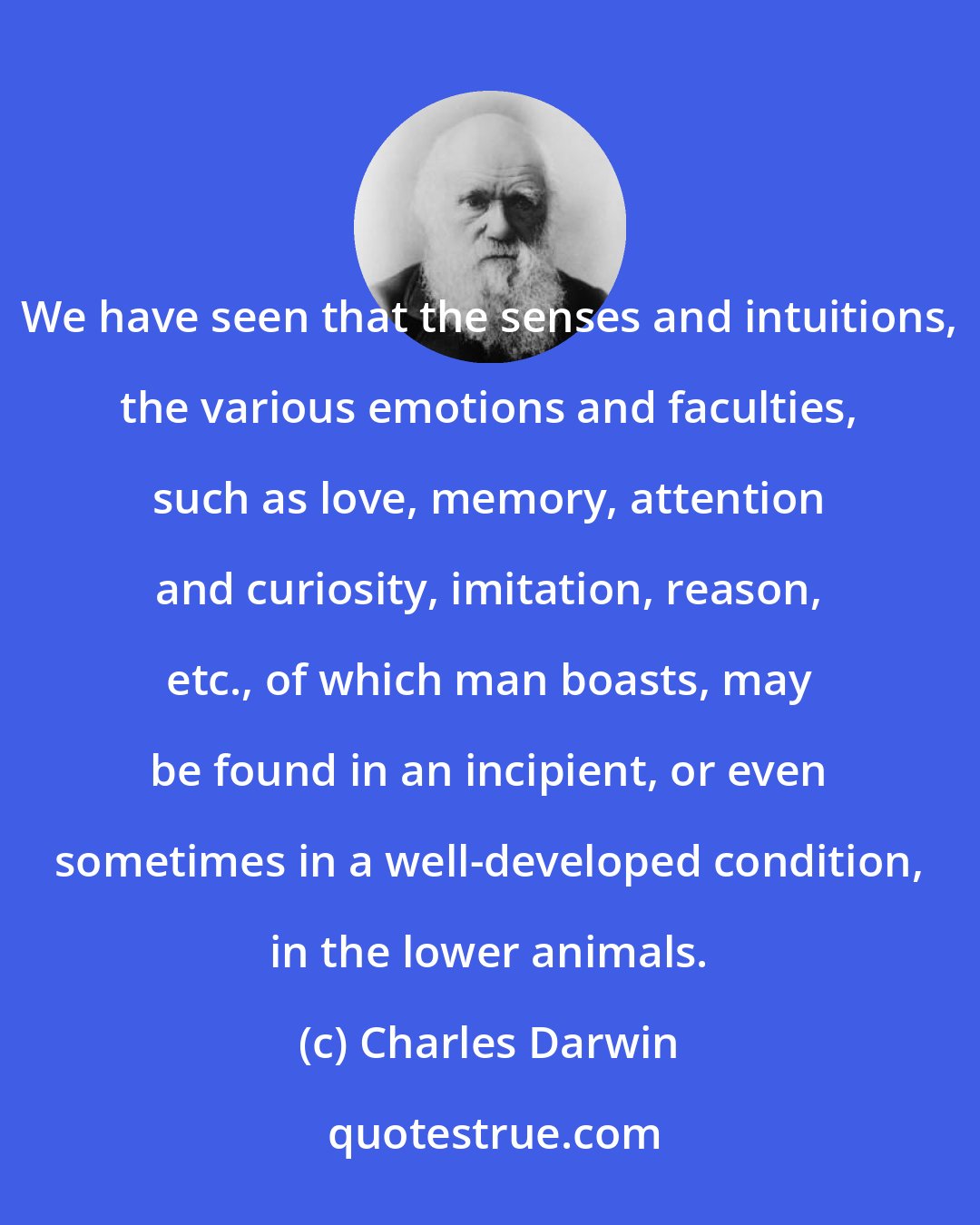 Charles Darwin: We have seen that the senses and intuitions, the various emotions and faculties, such as love, memory, attention and curiosity, imitation, reason, etc., of which man boasts, may be found in an incipient, or even sometimes in a well-developed condition, in the lower animals.