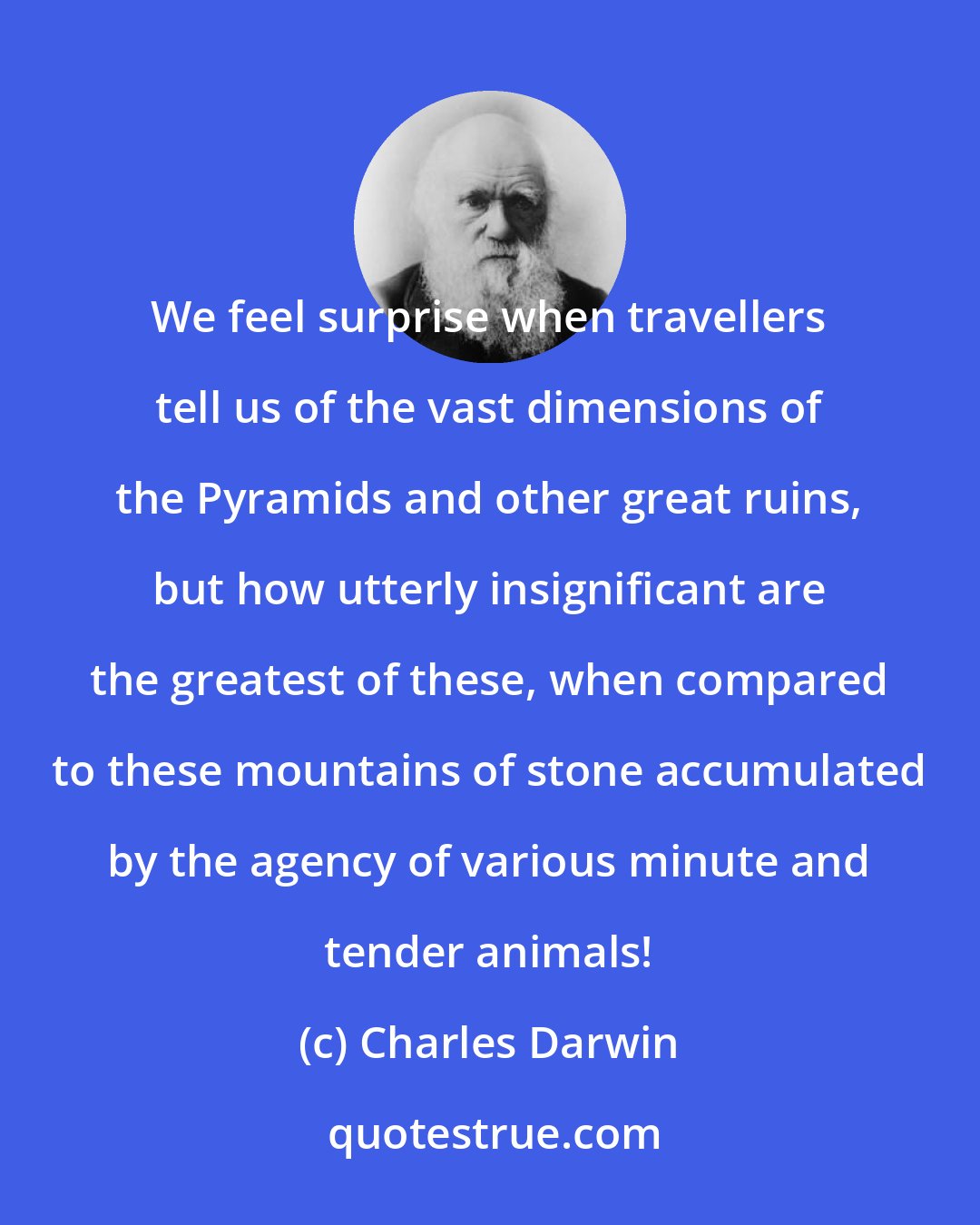 Charles Darwin: We feel surprise when travellers tell us of the vast dimensions of the Pyramids and other great ruins, but how utterly insignificant are the greatest of these, when compared to these mountains of stone accumulated by the agency of various minute and tender animals!
