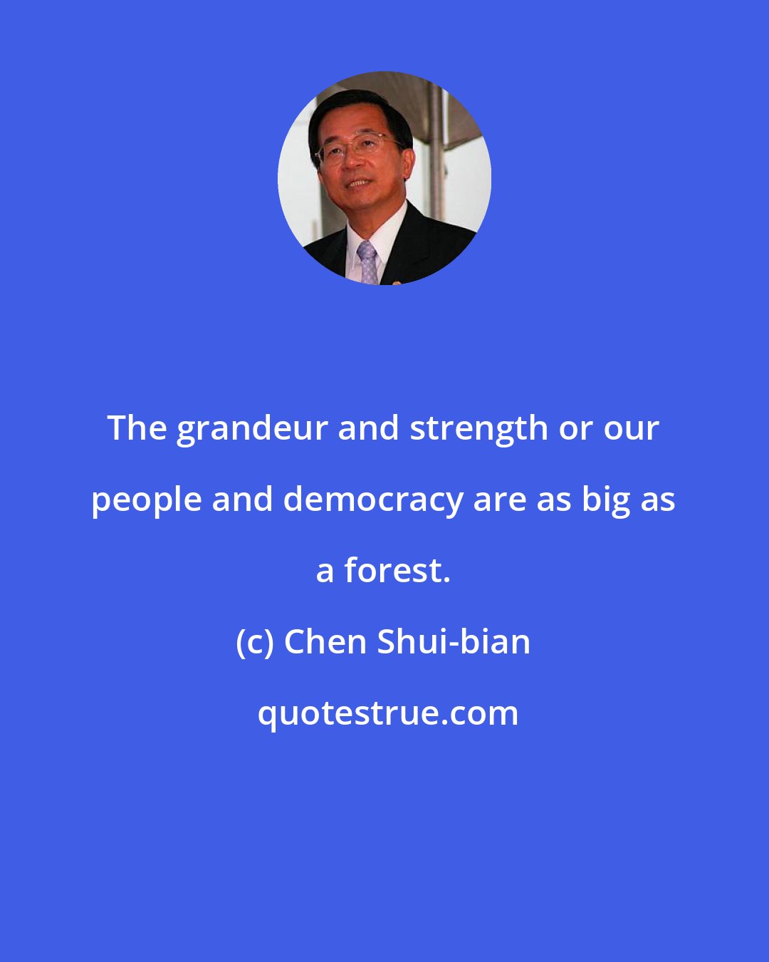 Chen Shui-bian: The grandeur and strength or our people and democracy are as big as a forest.