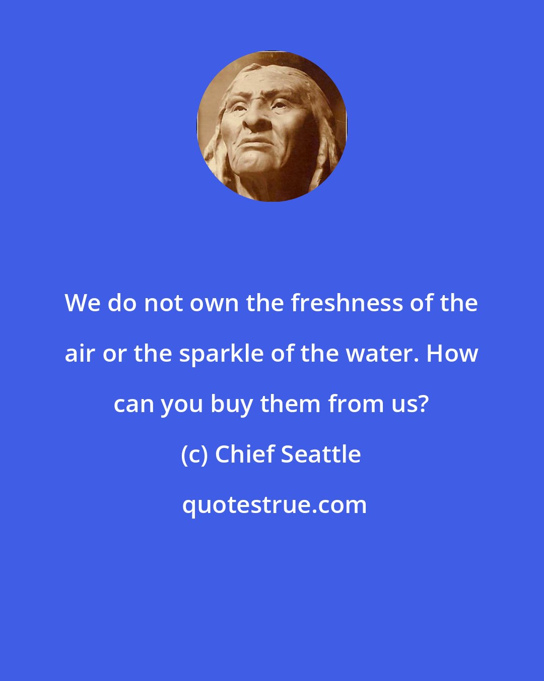 Chief Seattle: We do not own the freshness of the air or the sparkle of the water. How can you buy them from us?