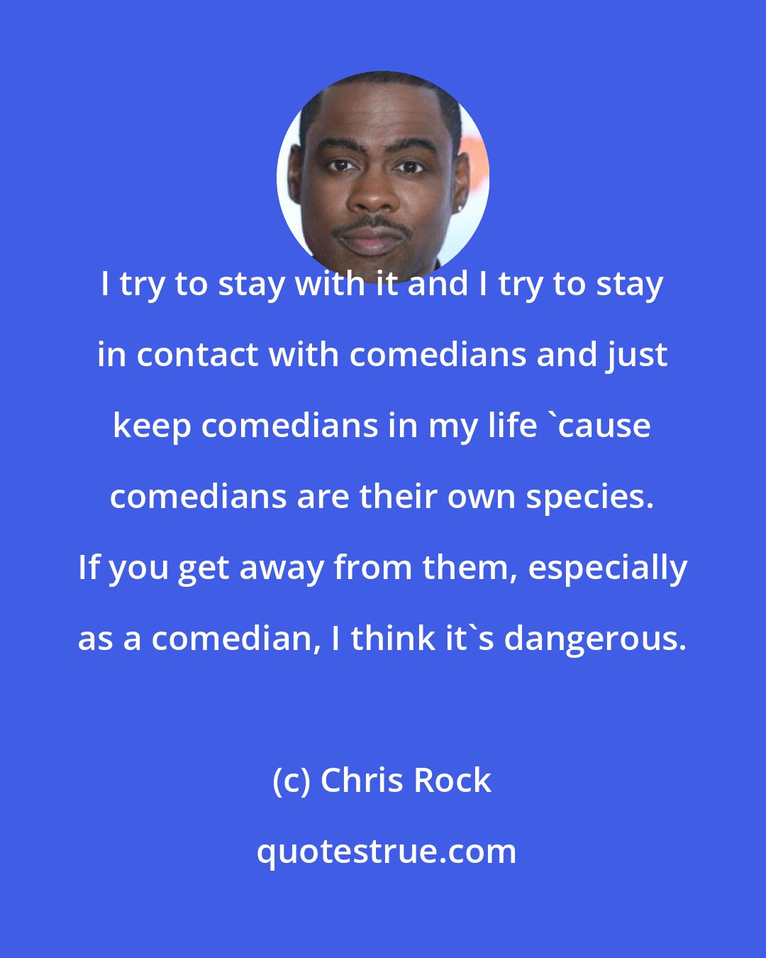 Chris Rock: I try to stay with it and I try to stay in contact with comedians and just keep comedians in my life 'cause comedians are their own species. If you get away from them, especially as a comedian, I think it's dangerous.