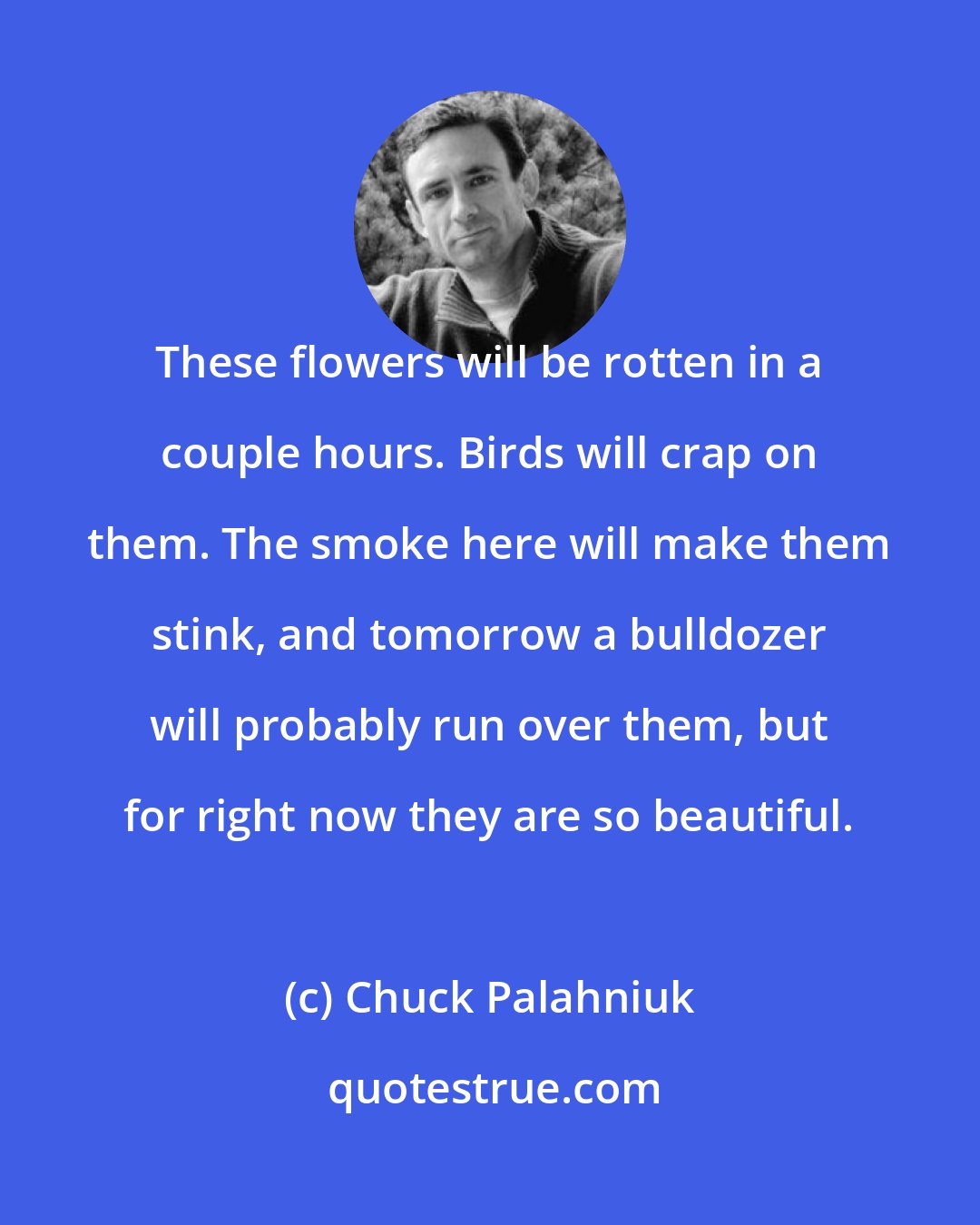 Chuck Palahniuk: These flowers will be rotten in a couple hours. Birds will crap on them. The smoke here will make them stink, and tomorrow a bulldozer will probably run over them, but for right now they are so beautiful.