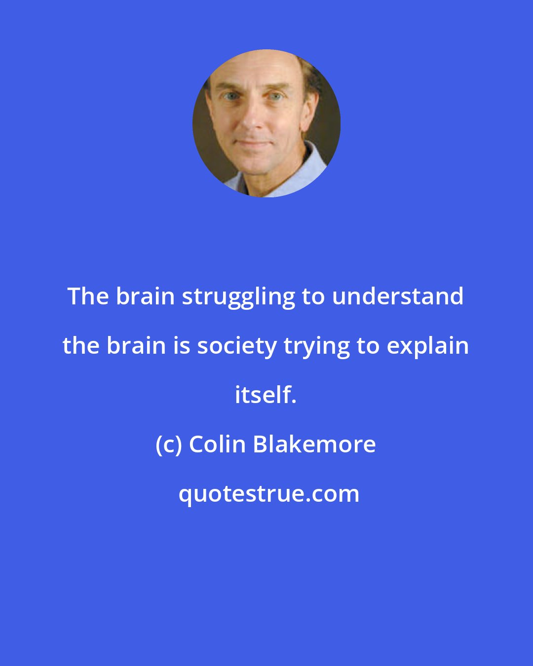 Colin Blakemore: The brain struggling to understand the brain is society trying to explain itself.