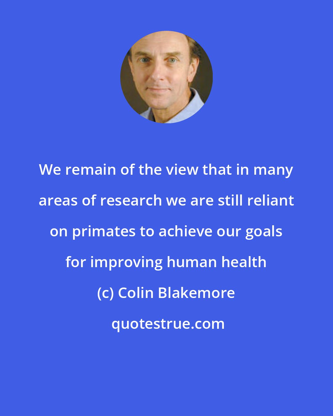 Colin Blakemore: We remain of the view that in many areas of research we are still reliant on primates to achieve our goals for improving human health