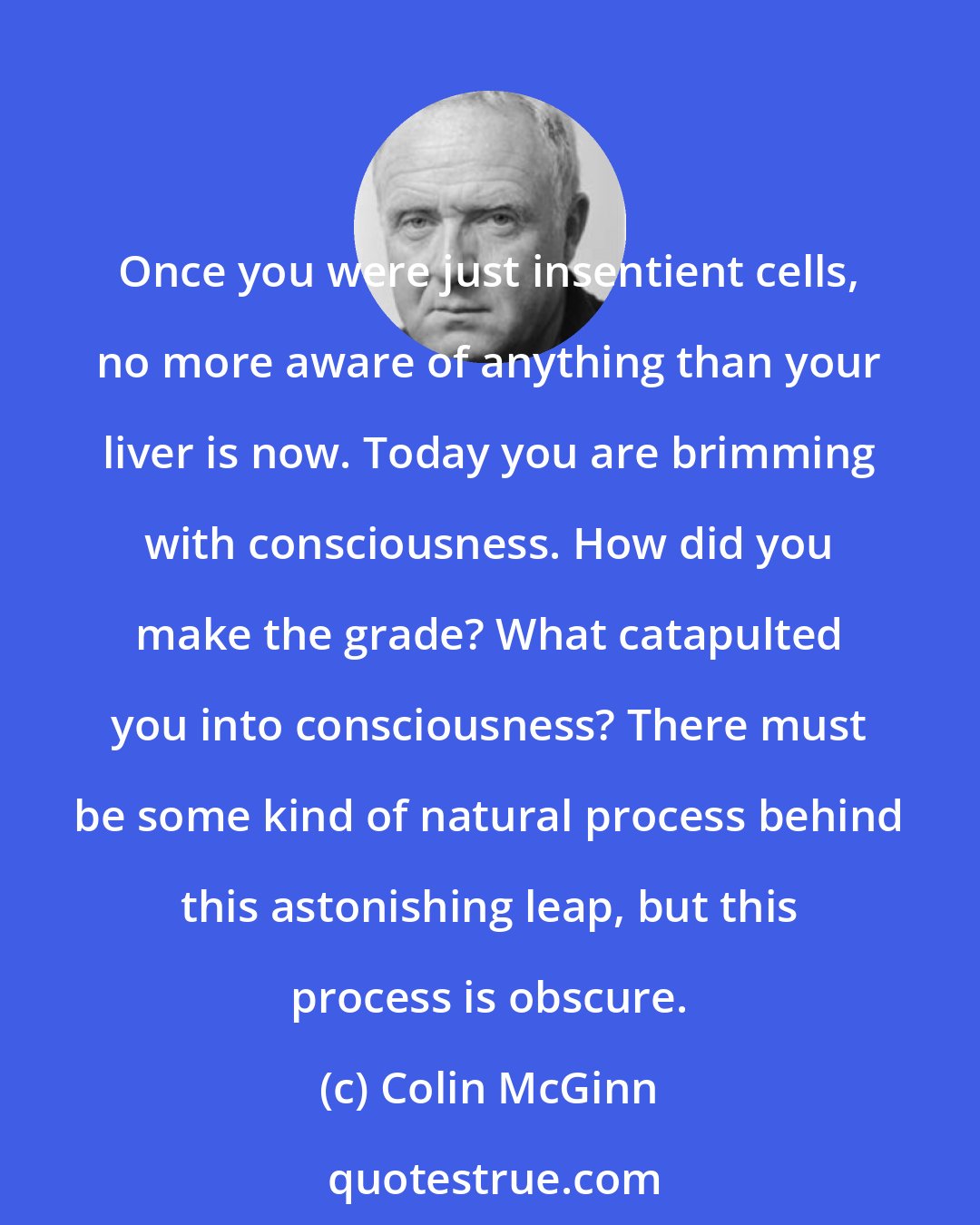 Colin McGinn: Once you were just insentient cells, no more aware of anything than your liver is now. Today you are brimming with consciousness. How did you make the grade? What catapulted you into consciousness? There must be some kind of natural process behind this astonishing leap, but this process is obscure.