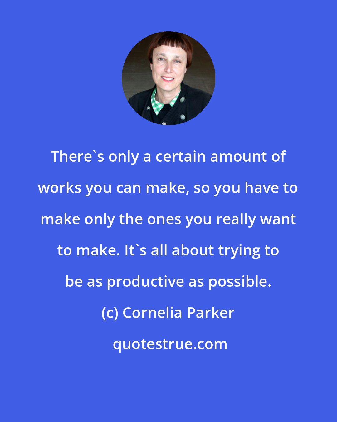 Cornelia Parker: There's only a certain amount of works you can make, so you have to make only the ones you really want to make. It's all about trying to be as productive as possible.