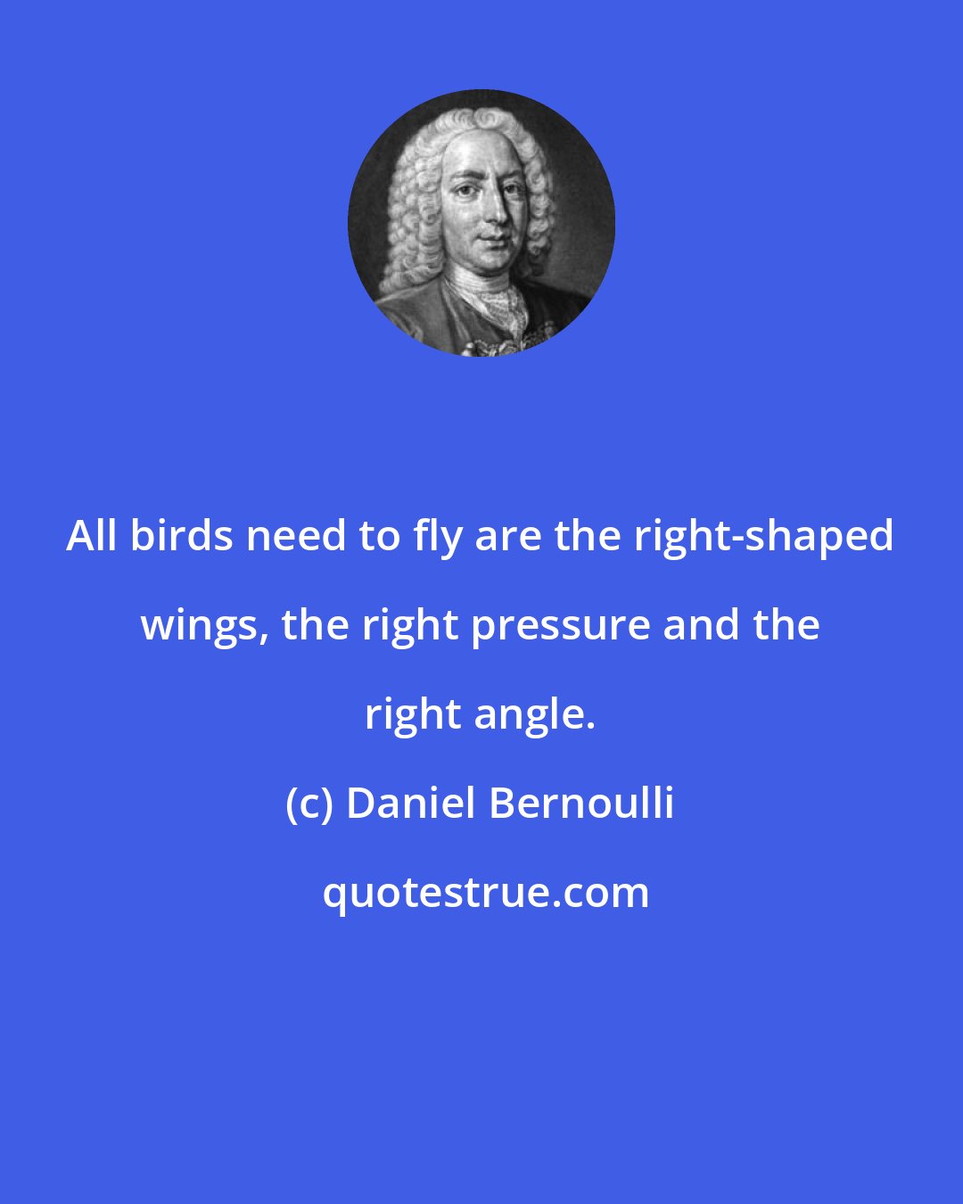 Daniel Bernoulli: All birds need to fly are the right-shaped wings, the right pressure and the right angle.